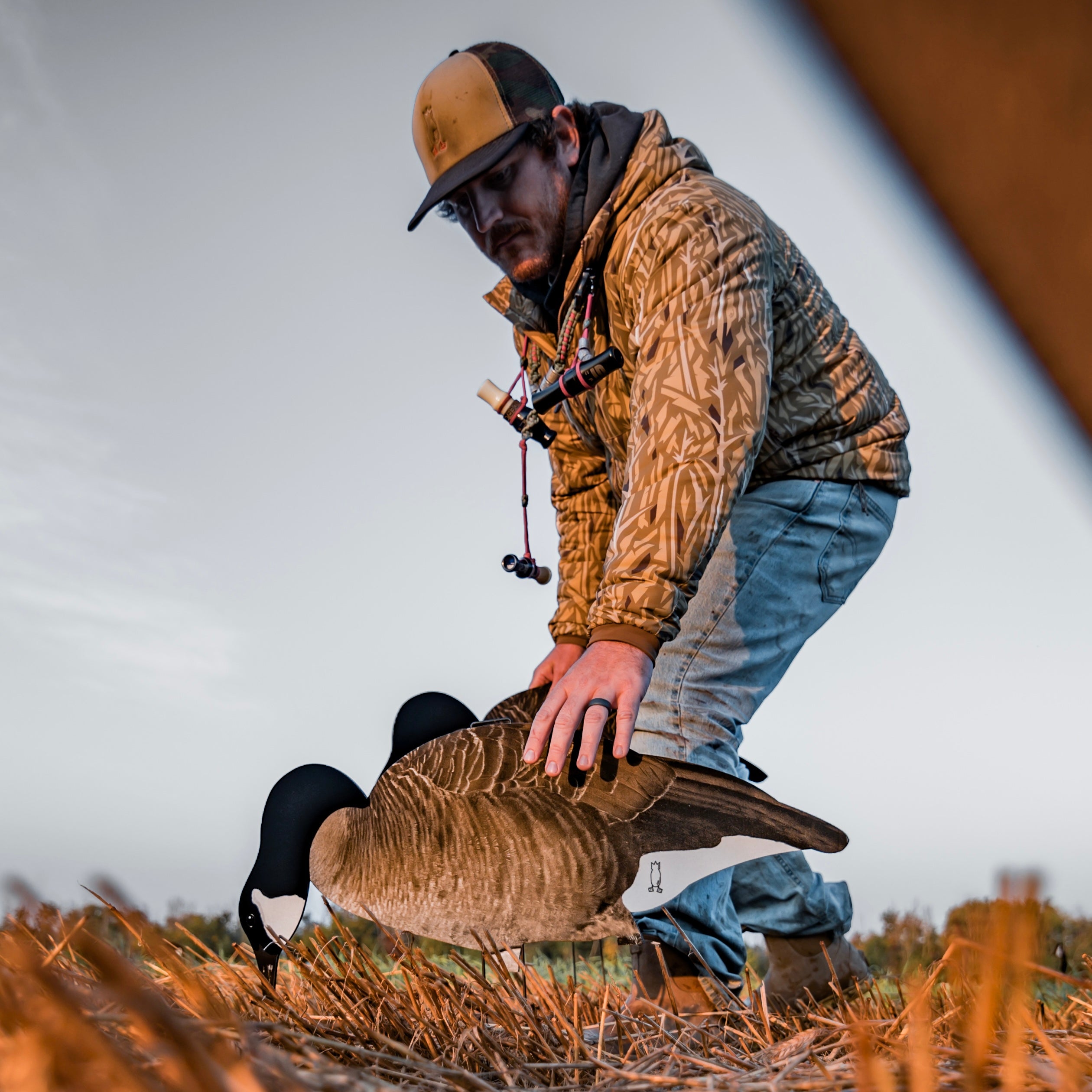 Fully Flocked Canada Goose Silhouettes silhouettes