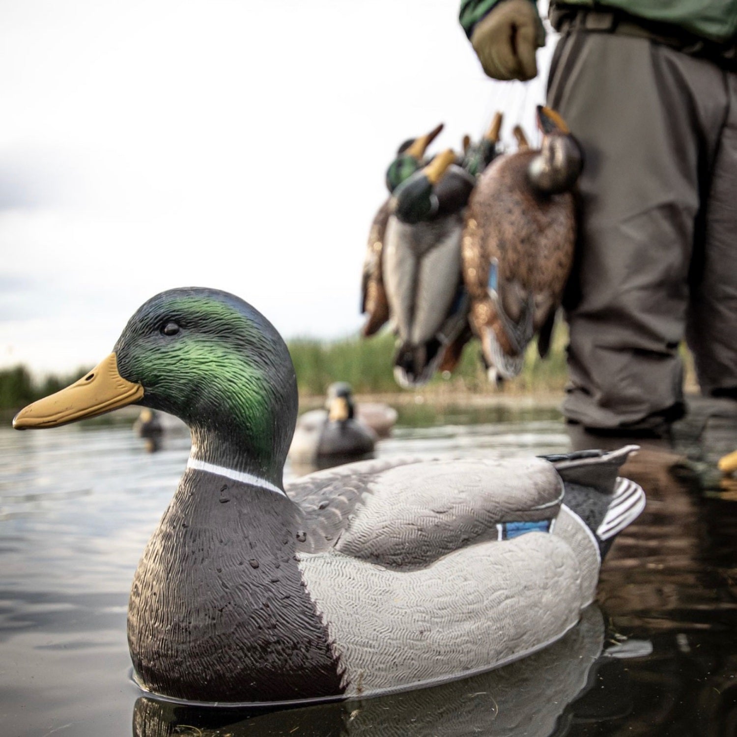 Mallard Floaters Floaters