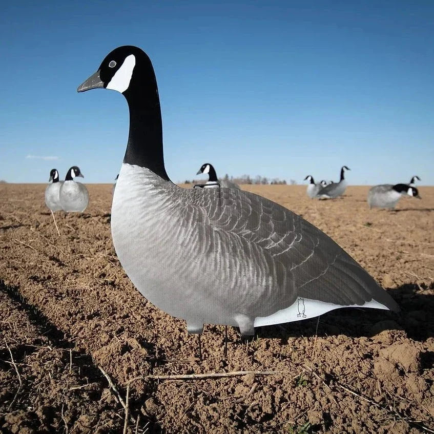 Alternate Flocked Canada Goose Silhouettes silhouettes
