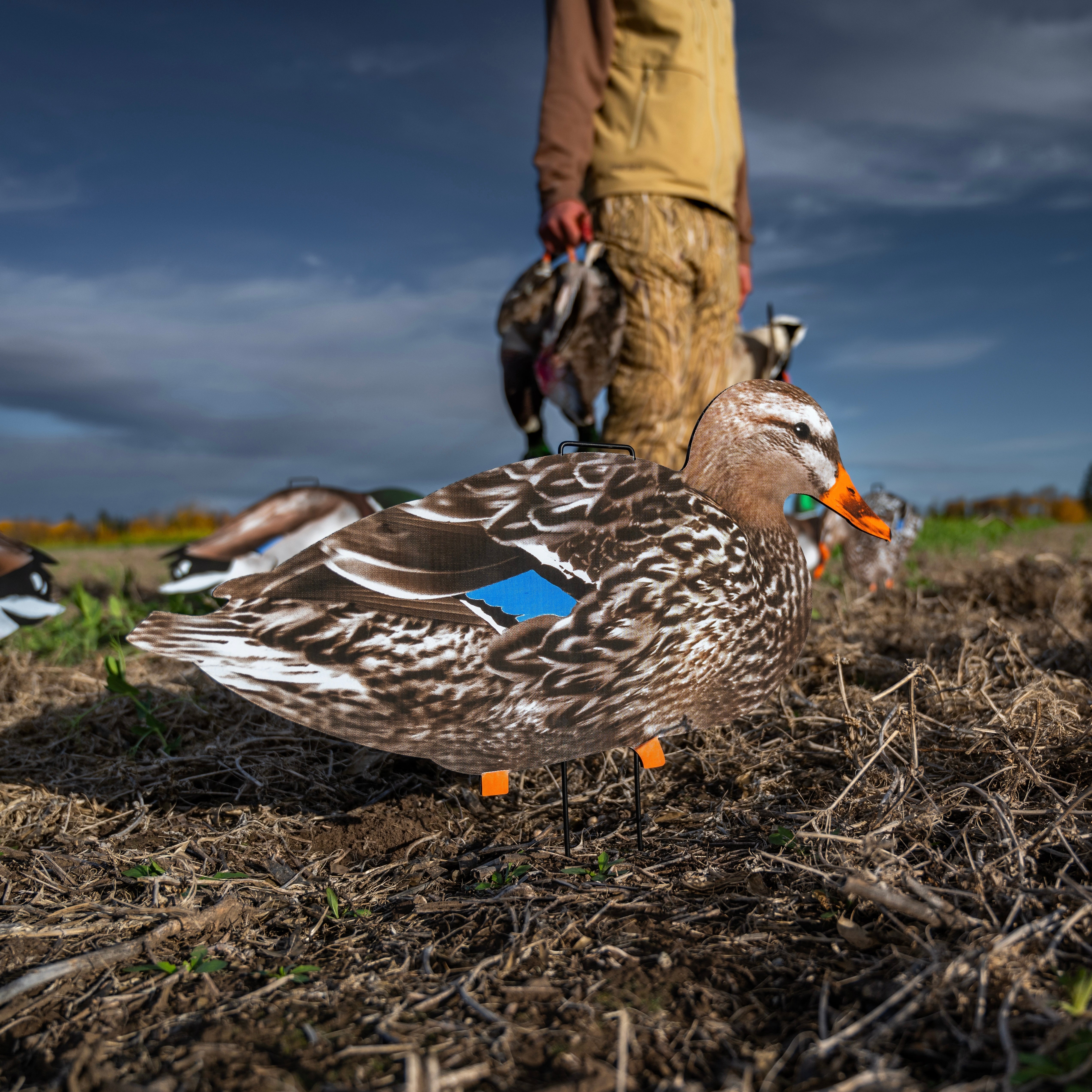 Mallard Silhouettes silhouettes