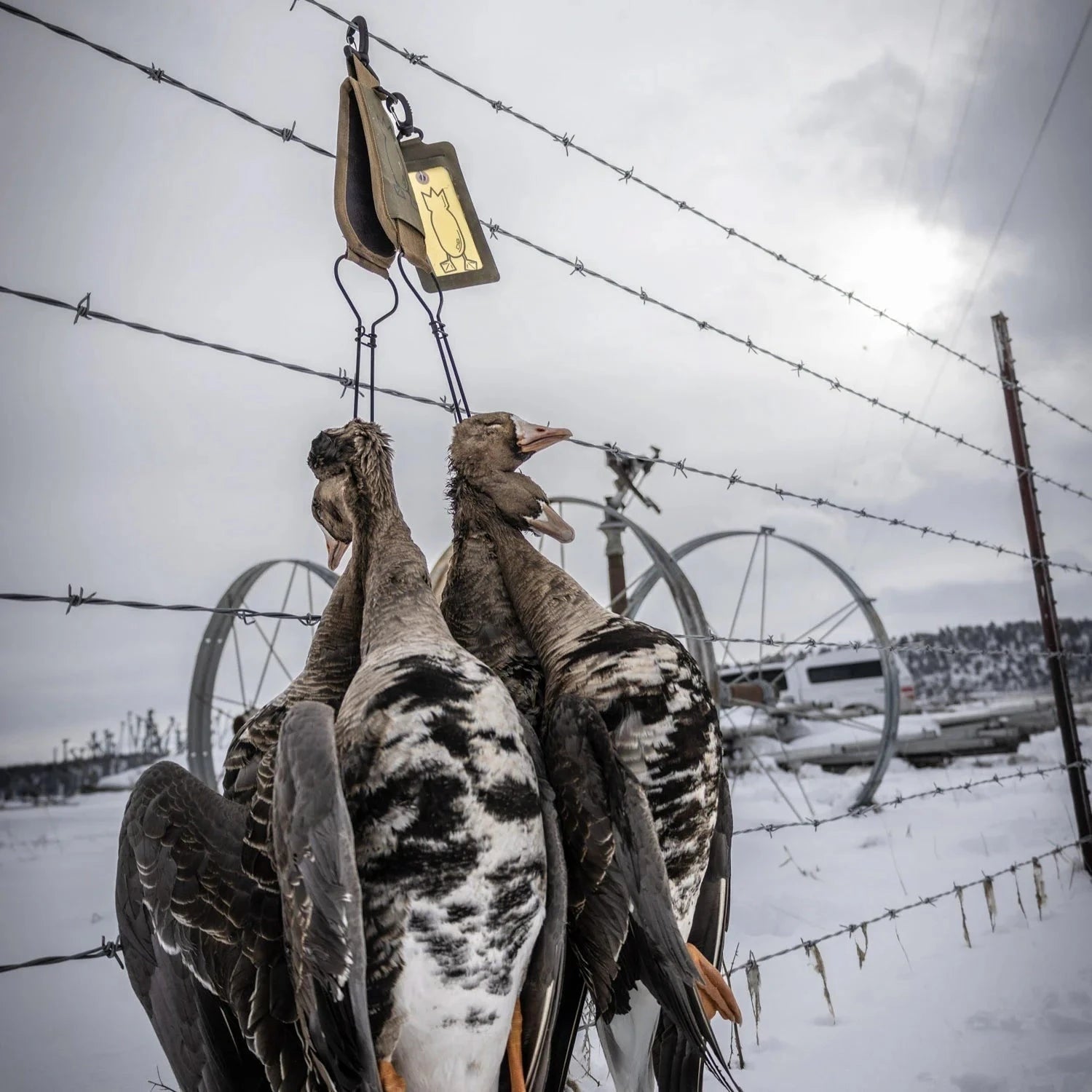 Duck Strap Game Carrier