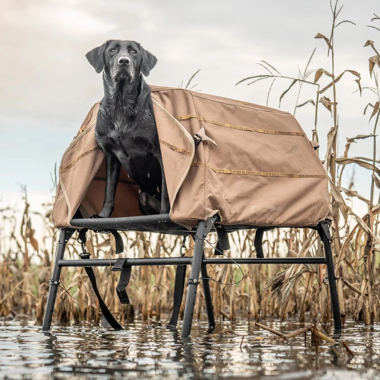Elevated Hunting Dog Blind