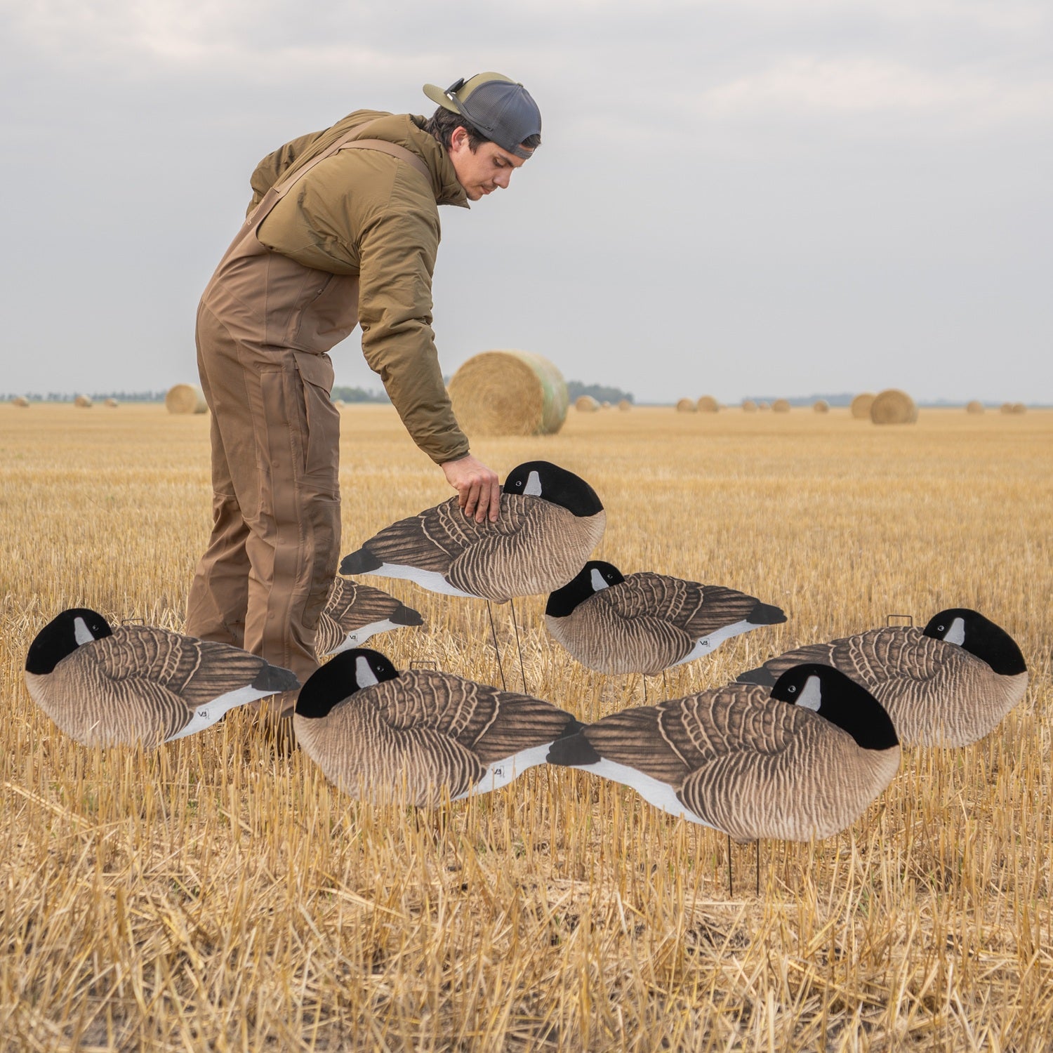 V3F Flocked Sleeper Canada Silhouettes silhouettes