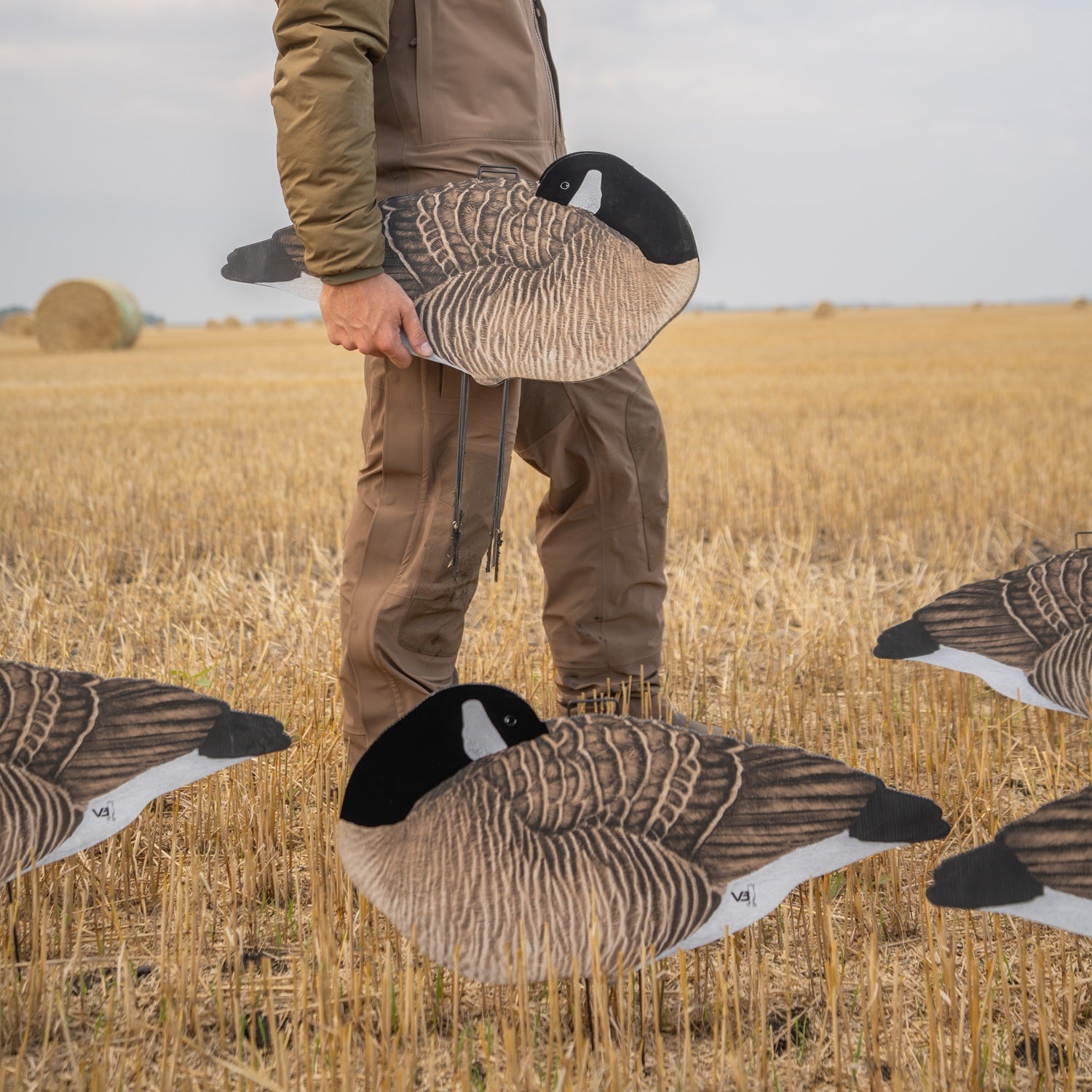 V3F Flocked Sleeper Canada Silhouettes silhouettes