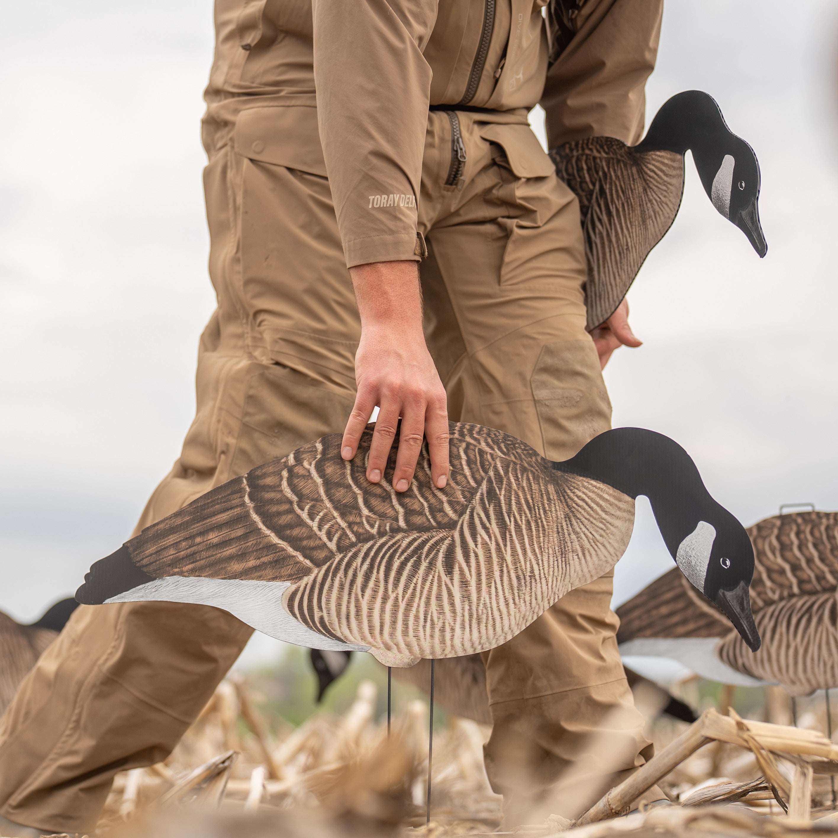 V3 Canada Silhouettes silhouettes