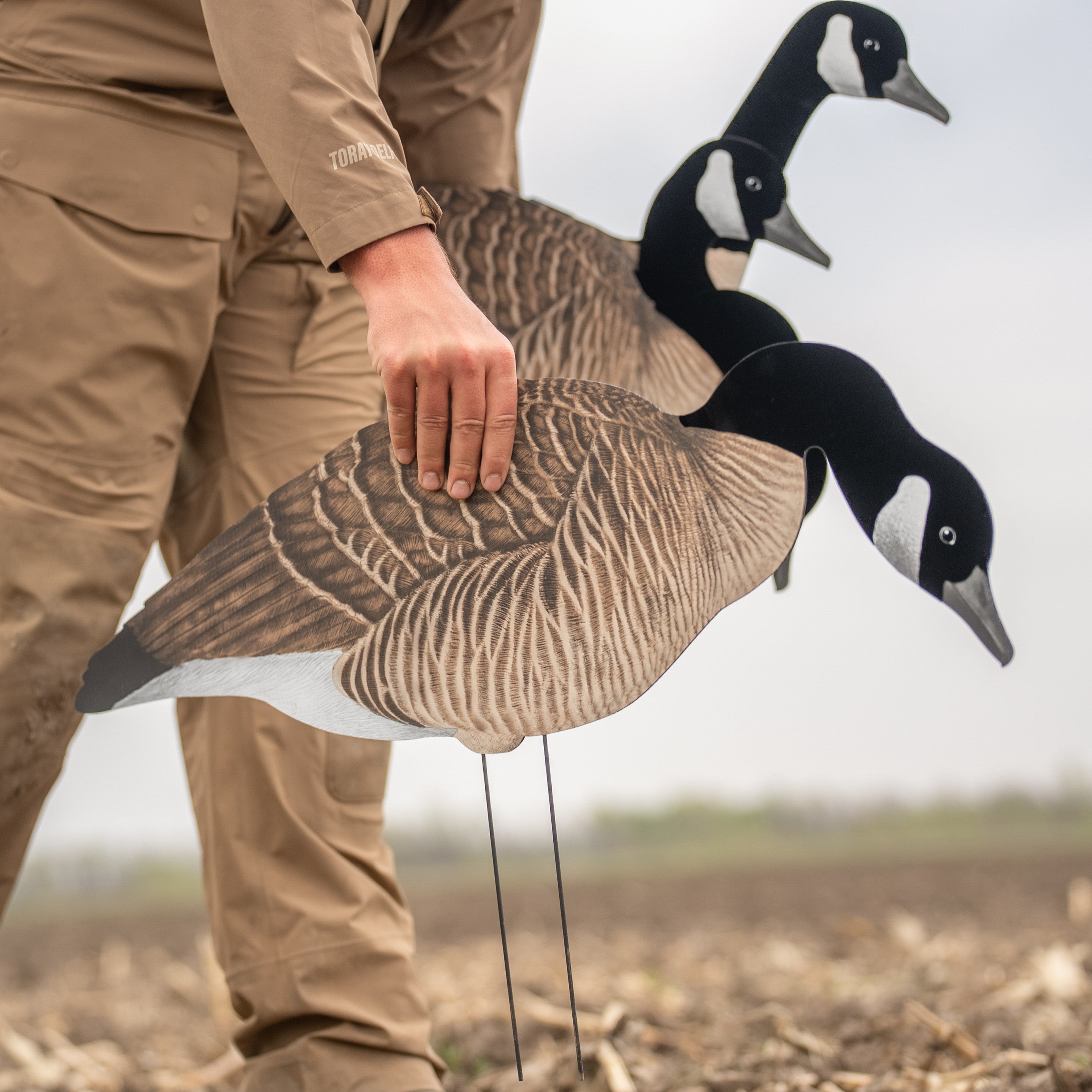 V3F Flocked Canada Silhouettes silhouettes