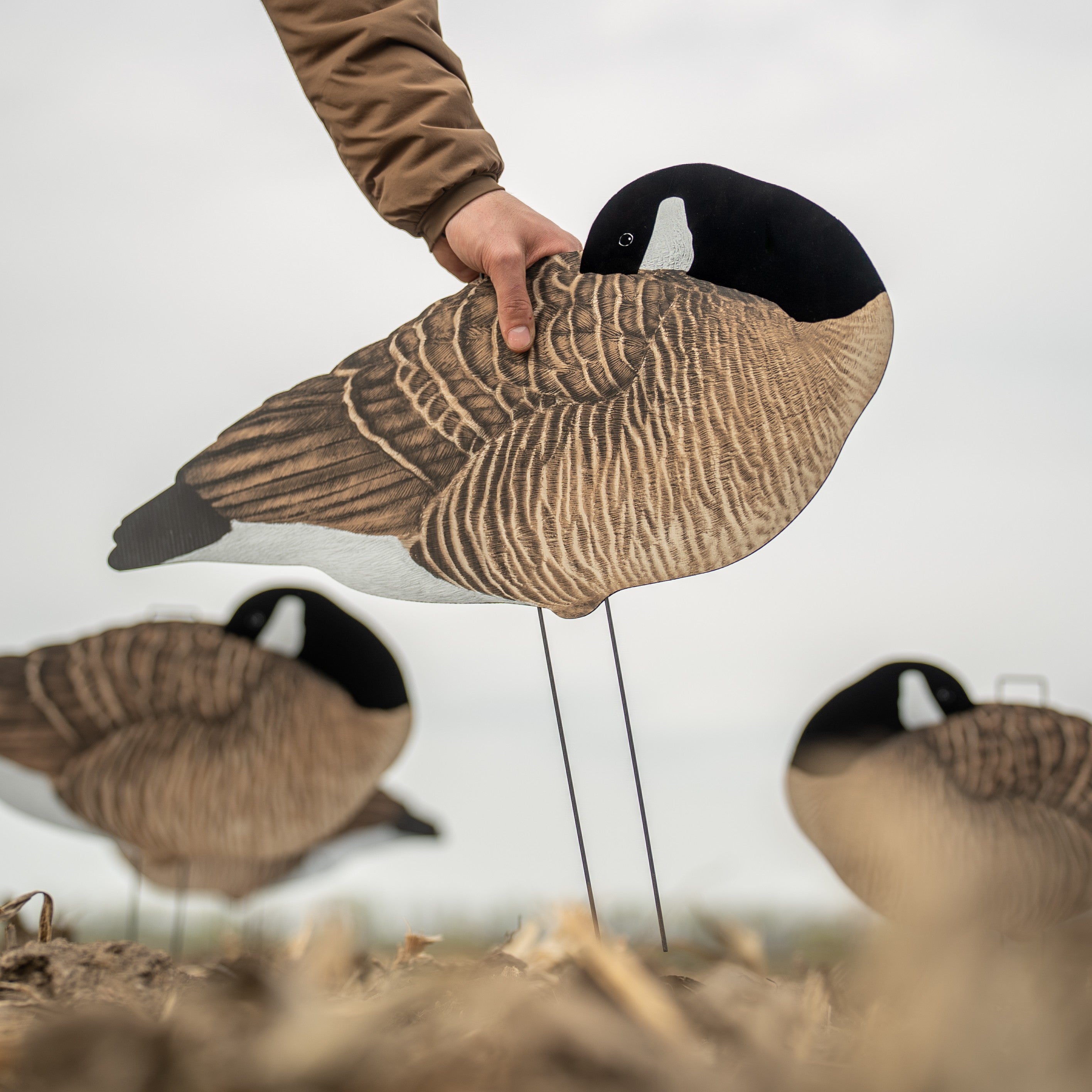 V3F Flocked Sleeper Canada Silhouettes silhouettes