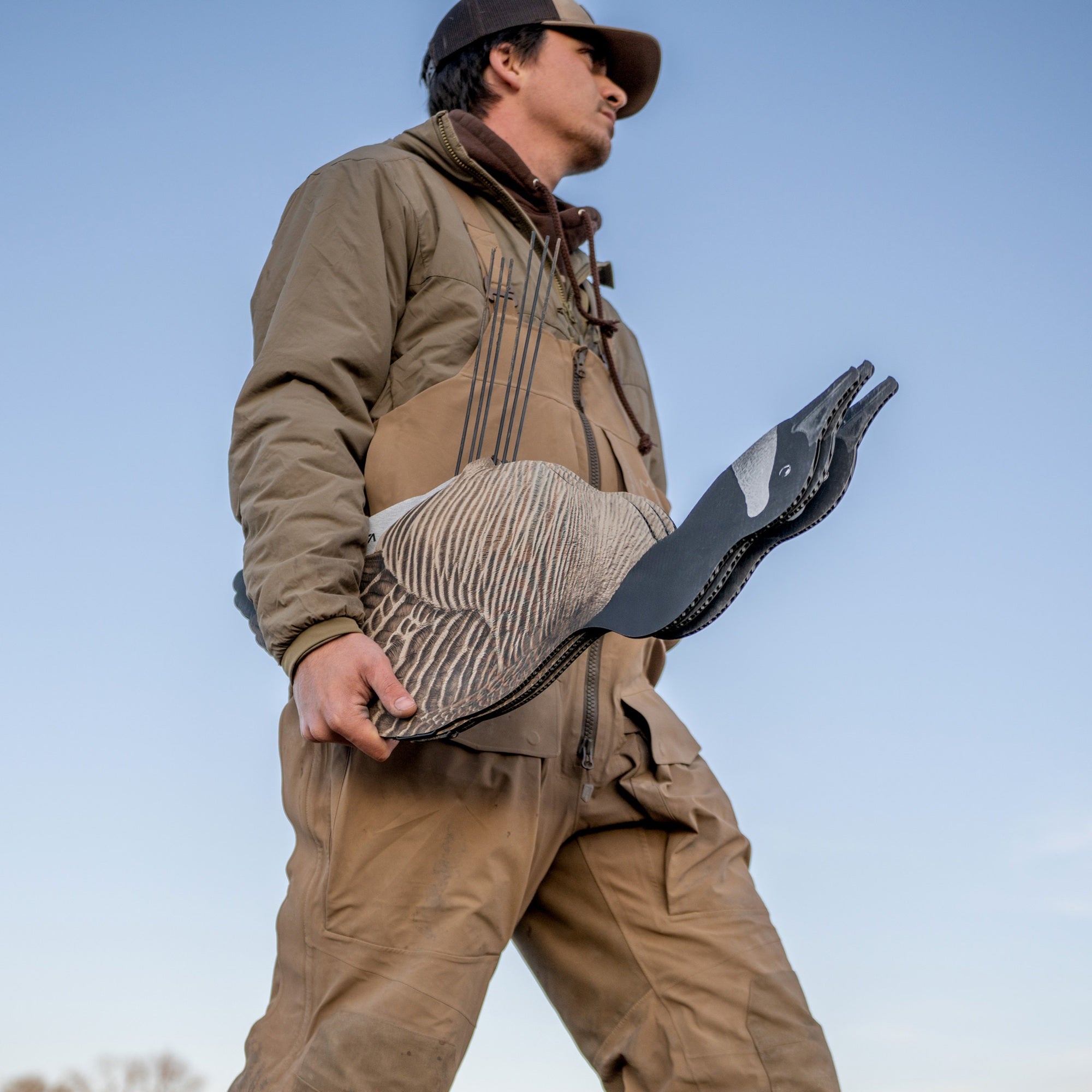 V3 Canada Silhouettes silhouettes