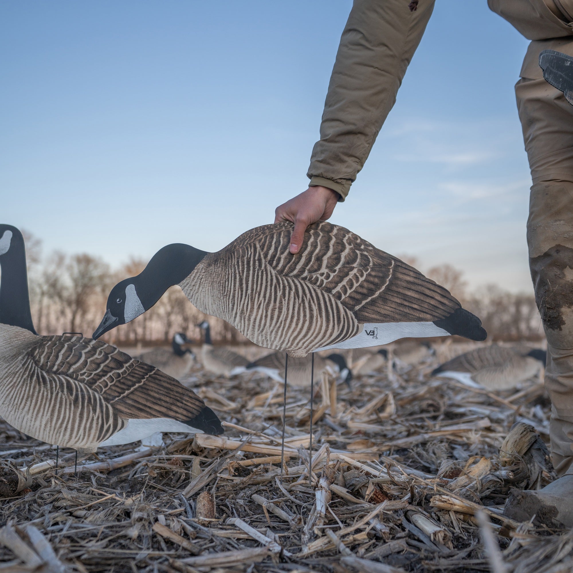 V3 Canada Silhouettes silhouettes