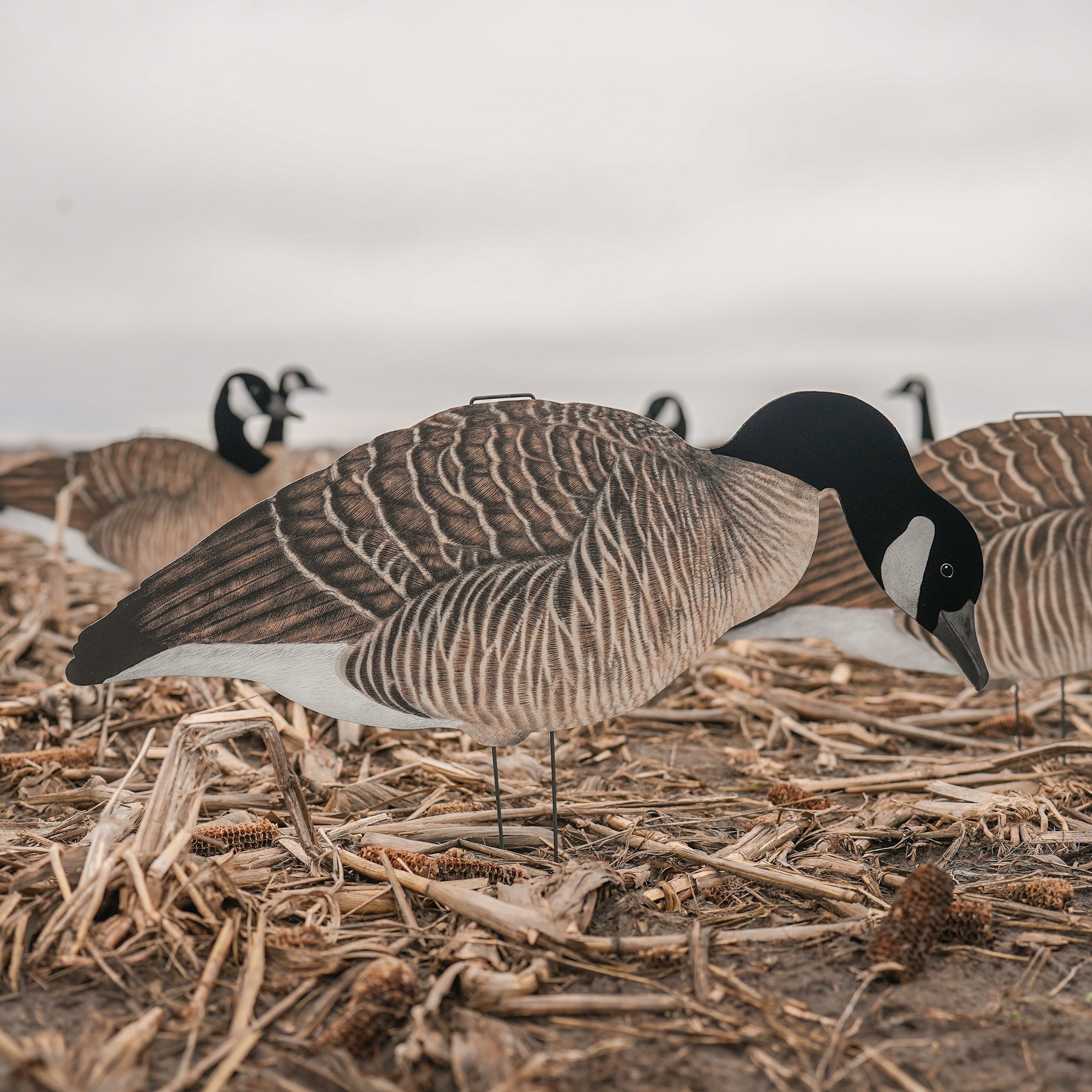 V3FF Fully Flocked Canada Silhouettes silhouettes