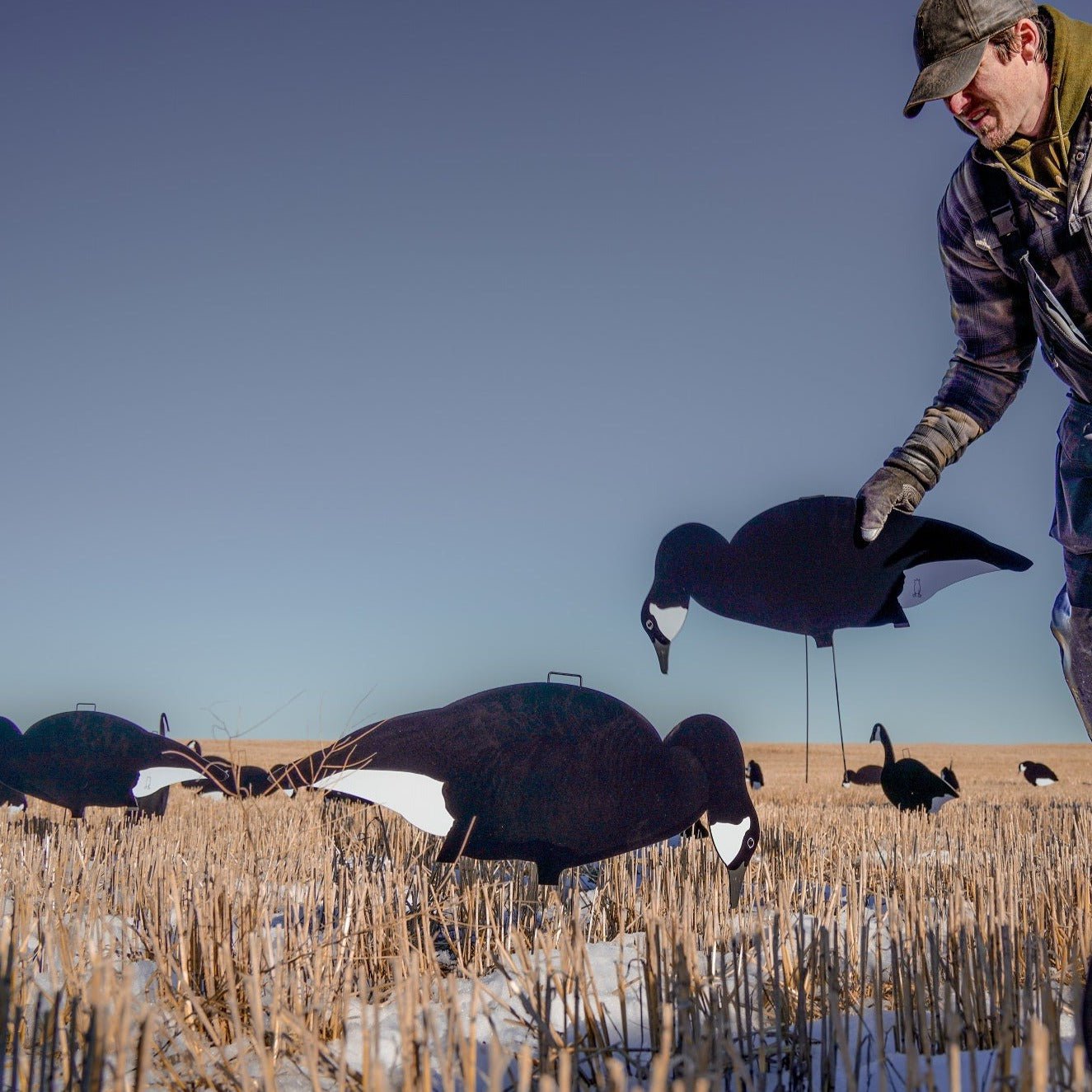 Black and White Silhouettes silhouettes