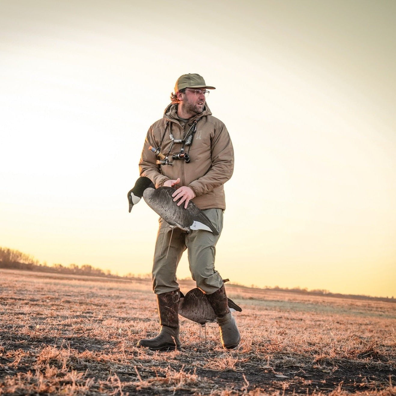 Fully Flocked Canada Goose Silhouettes silhouettes