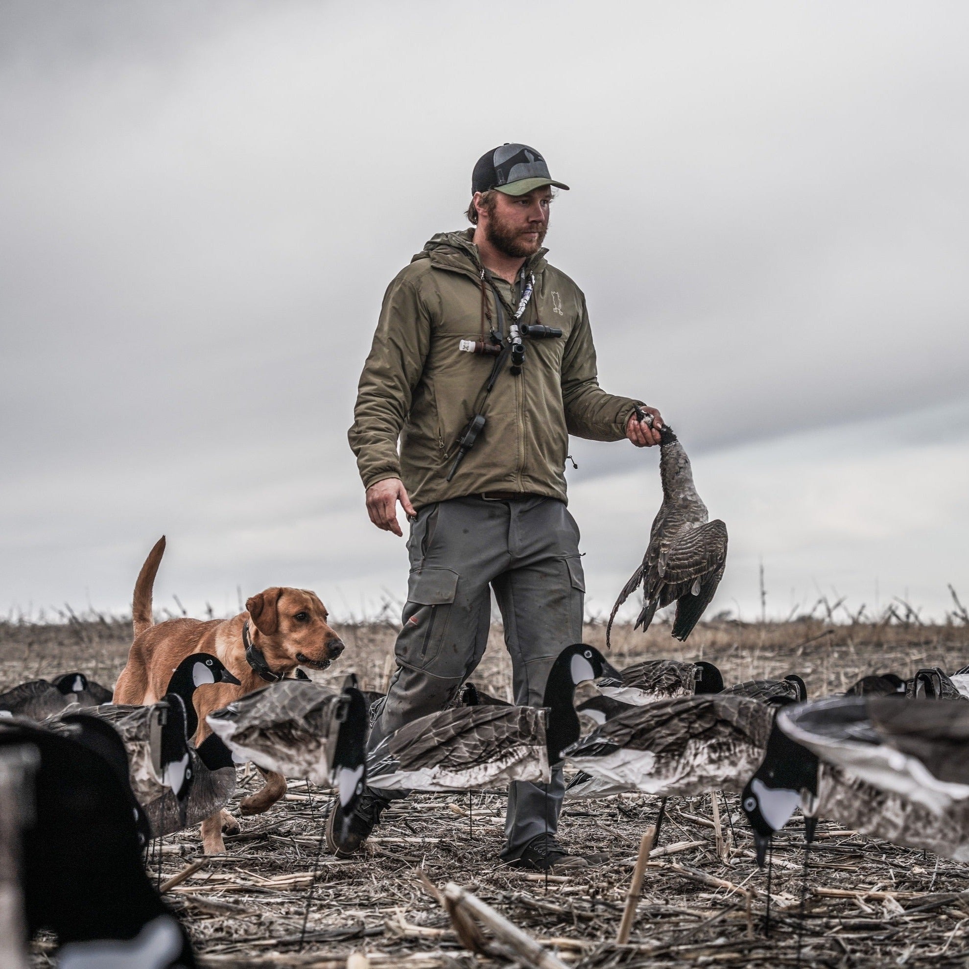 Canada Goose Socks socks