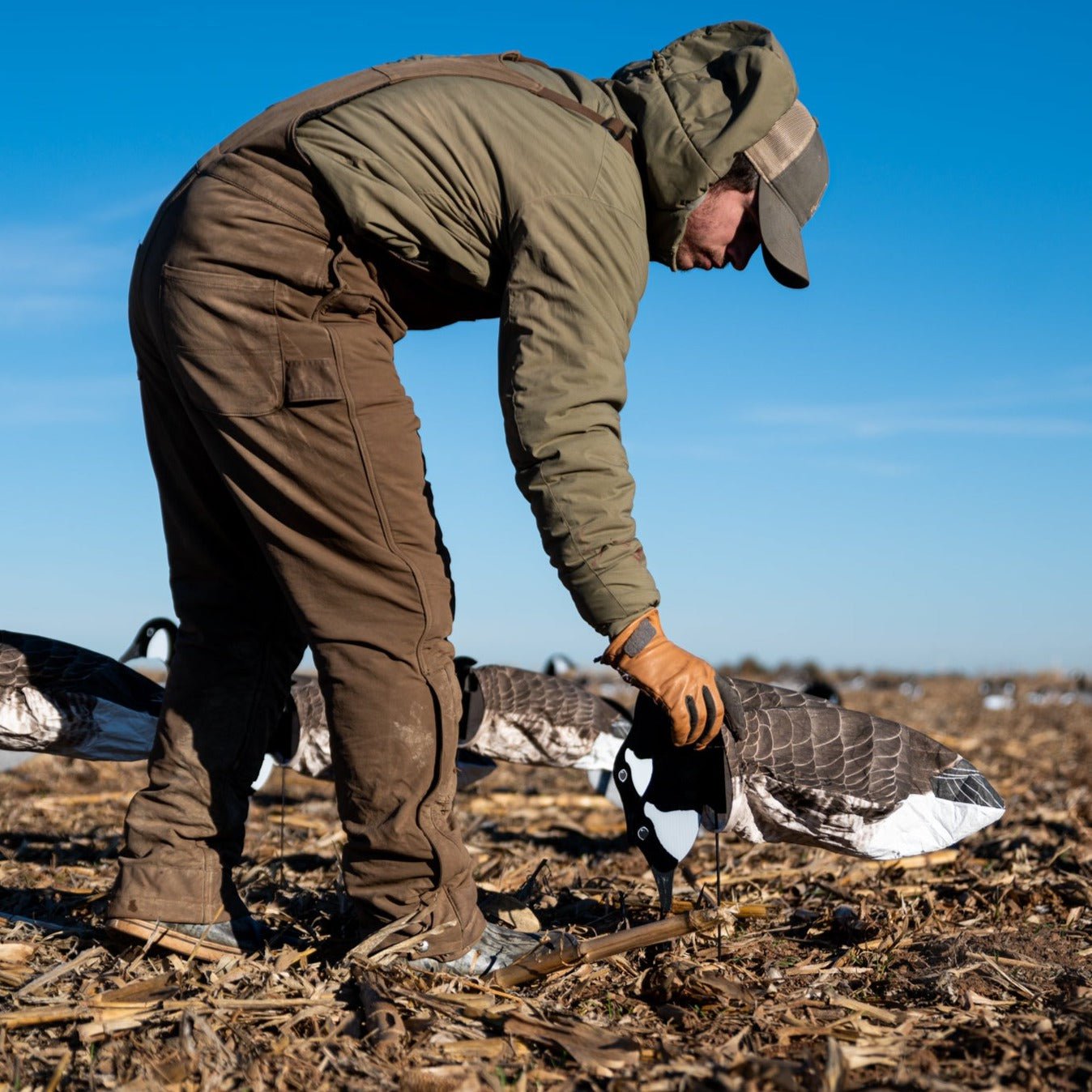 Canada Goose Socks socks