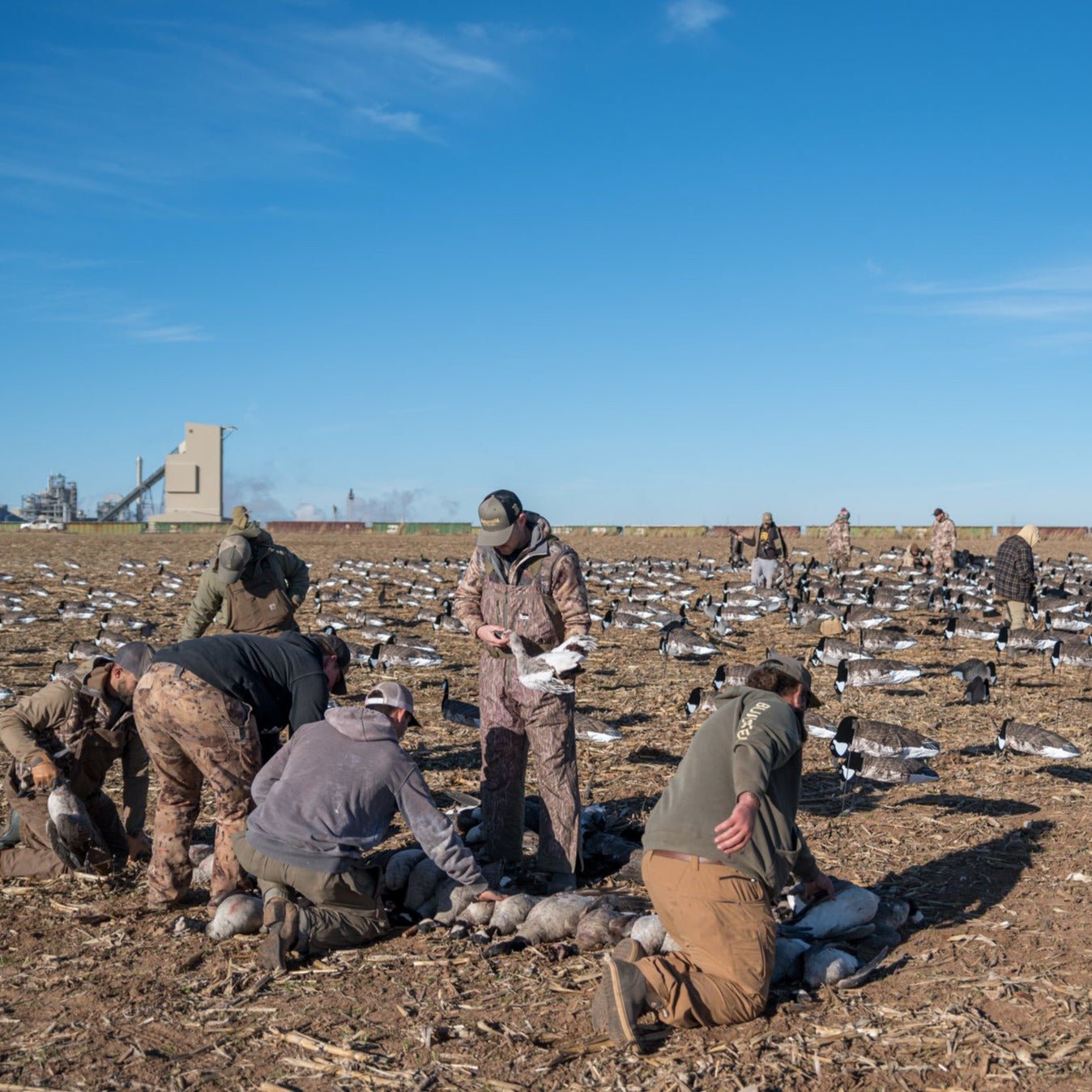 Canada Goose Socks socks