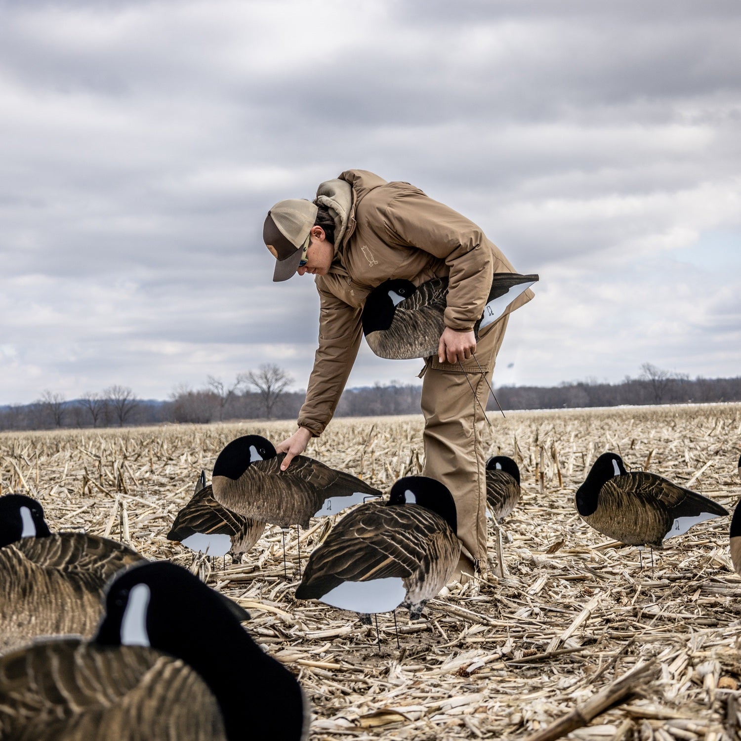 Fully Flocked Sleeper Canada Goose Silhouettes silhouettes