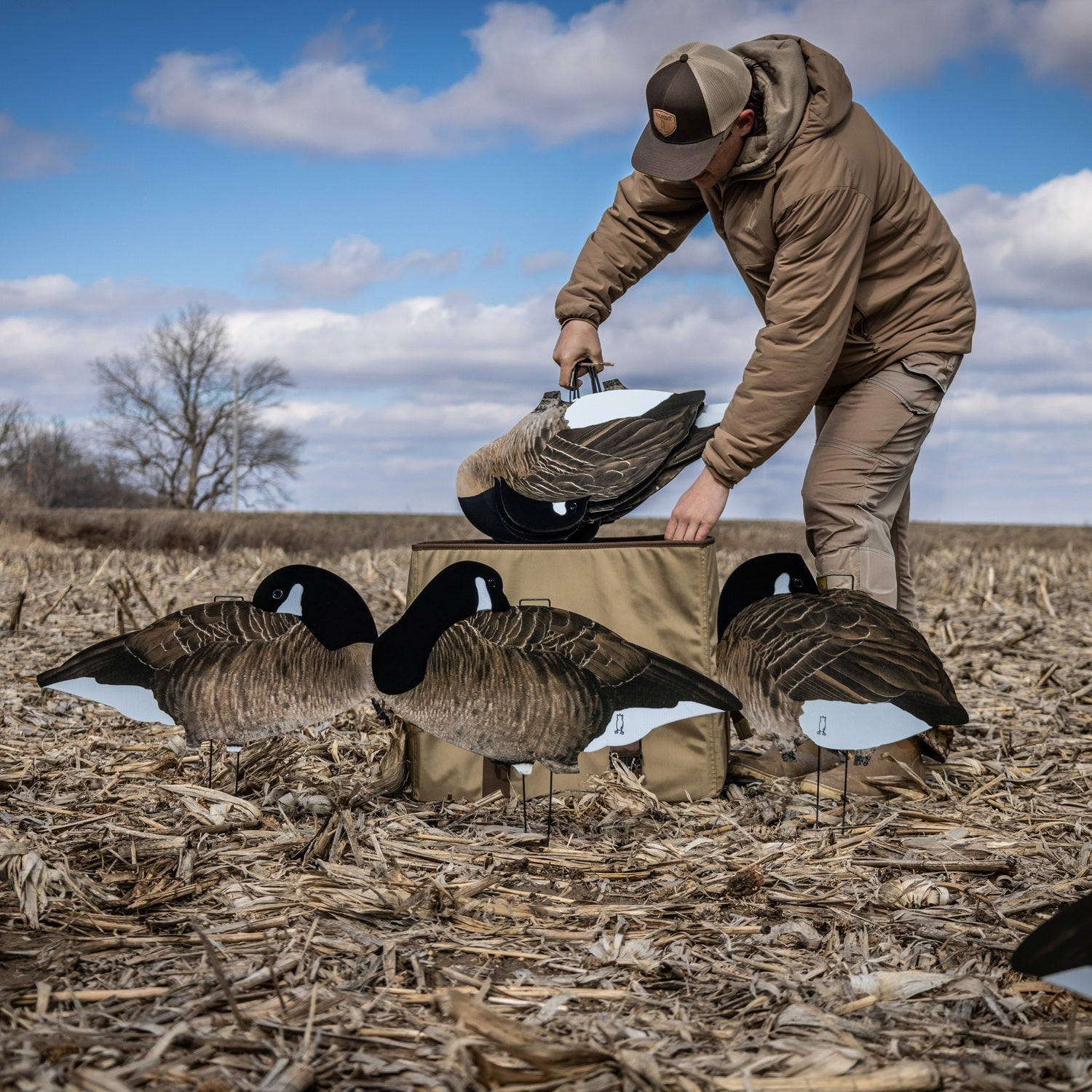 Fully Flocked Sleeper Canada Goose Silhouettes silhouettes