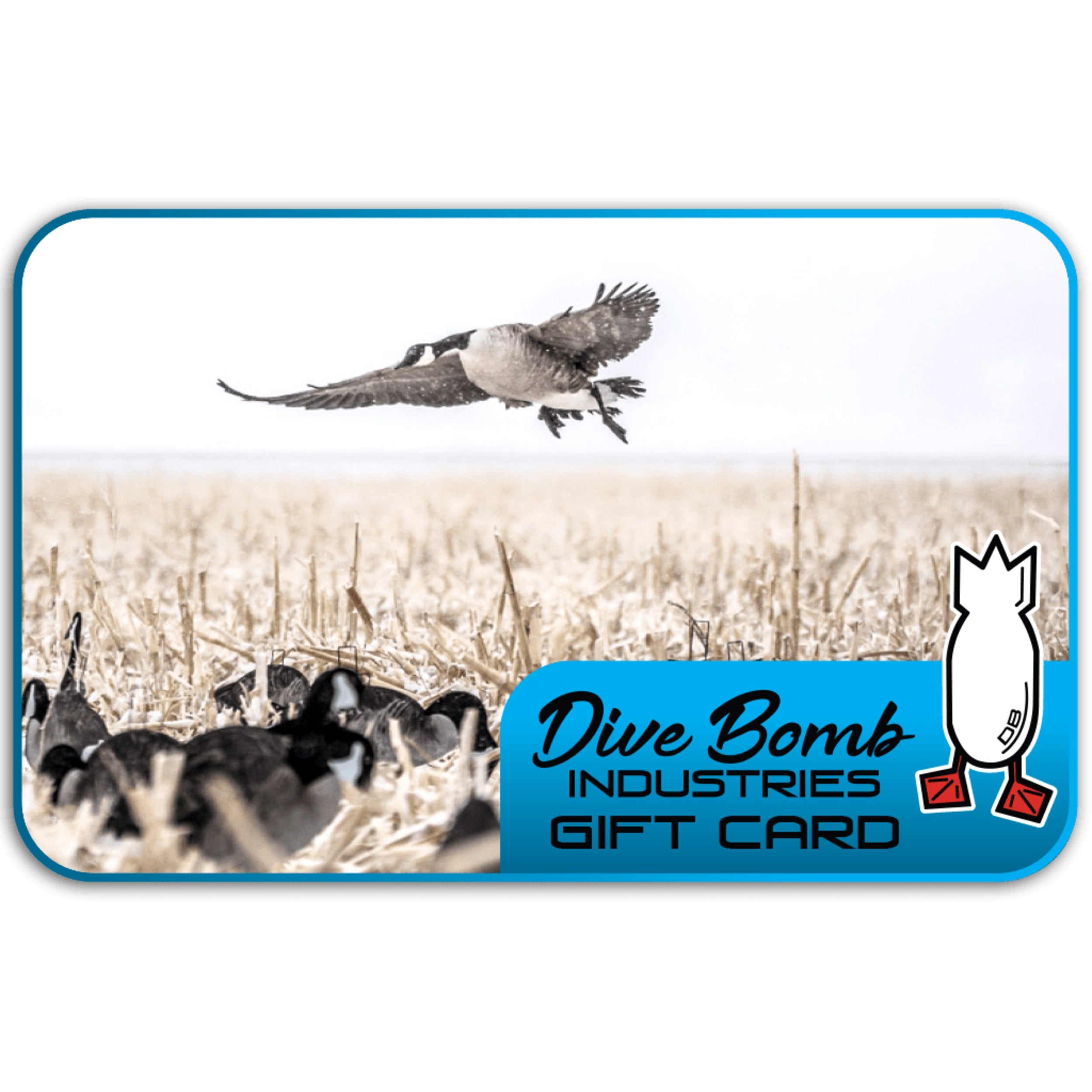 Dive Bomb Gift Card
