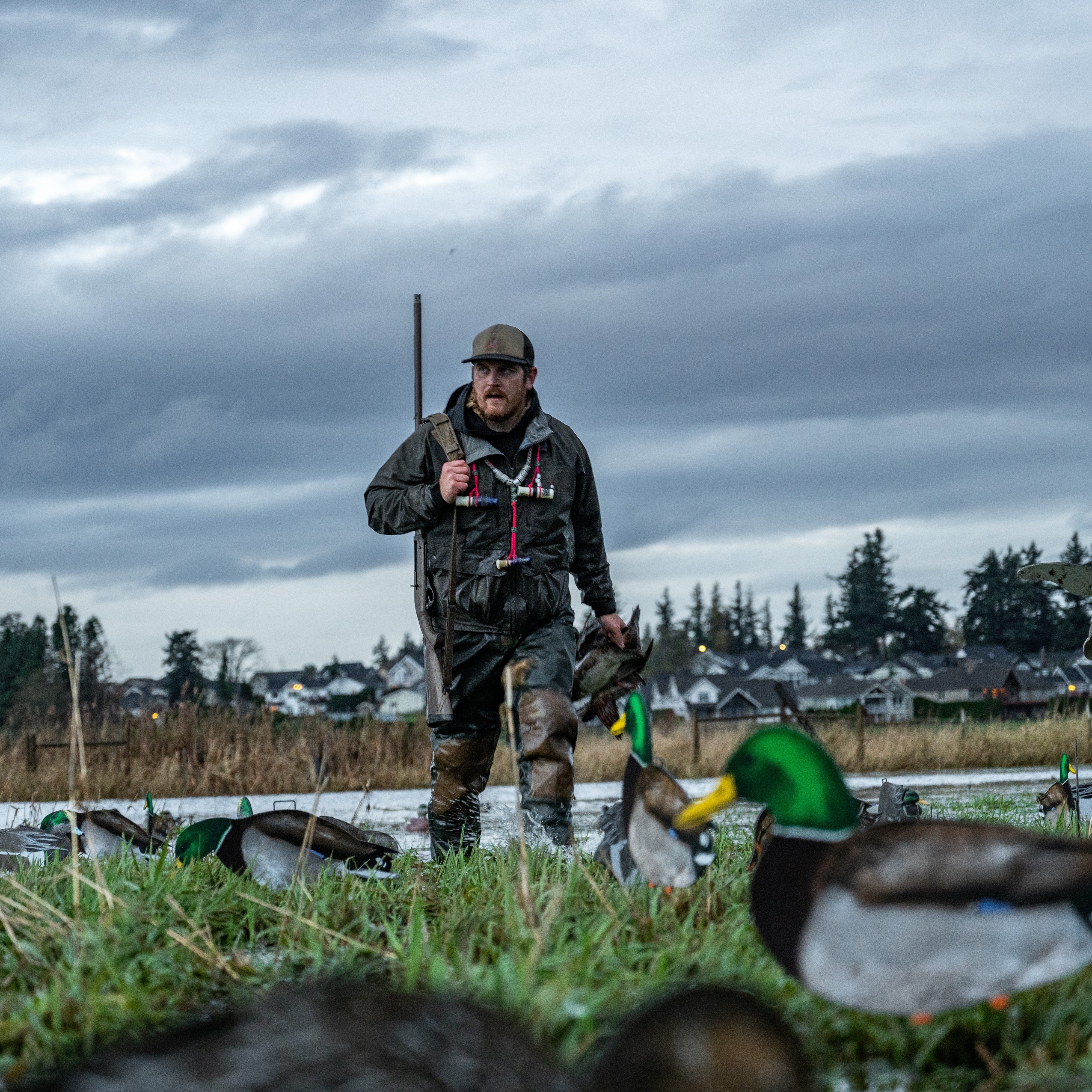 Fully Flocked Mallard Silhouettes silhouettes