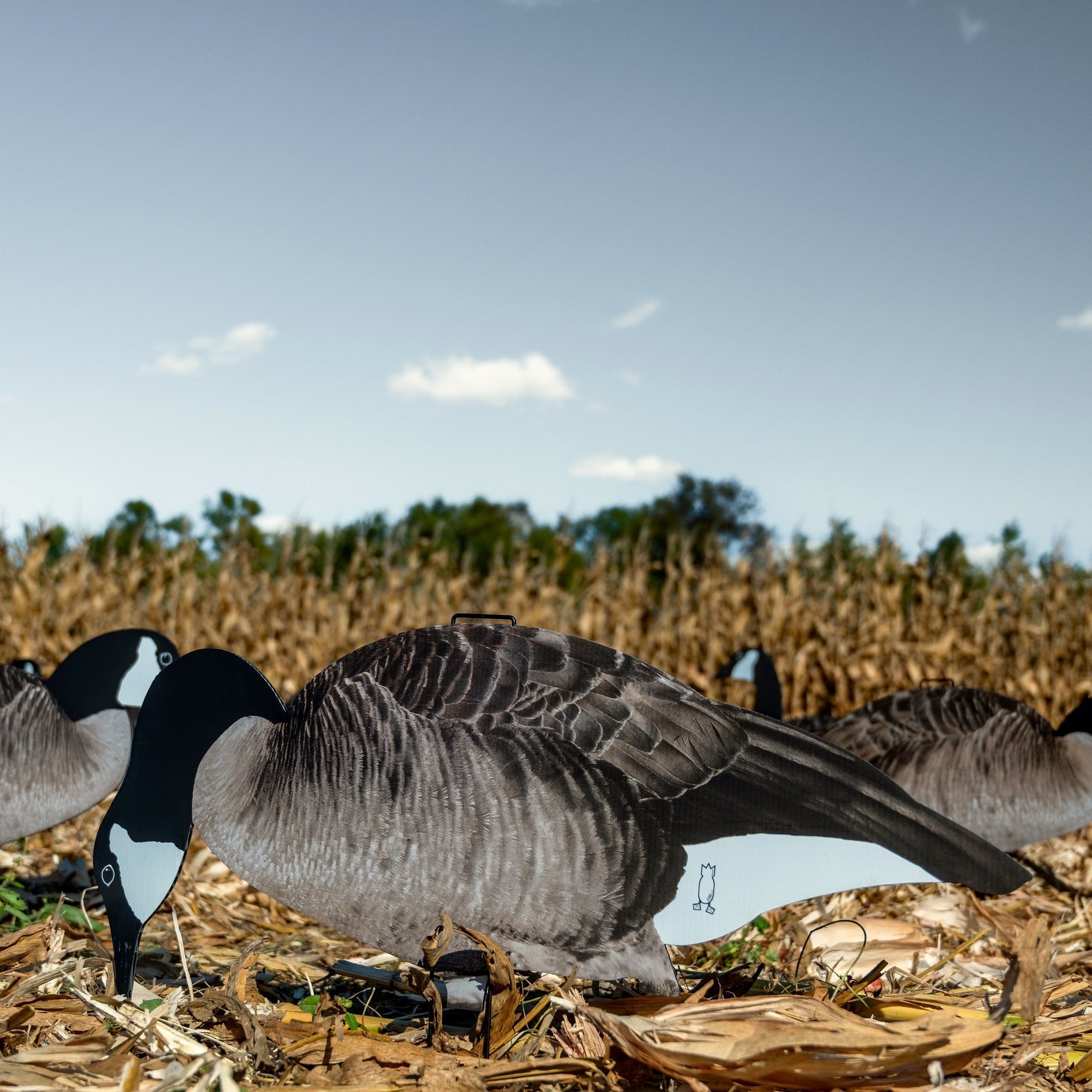 Canada Goose Silhouettes silhouettes