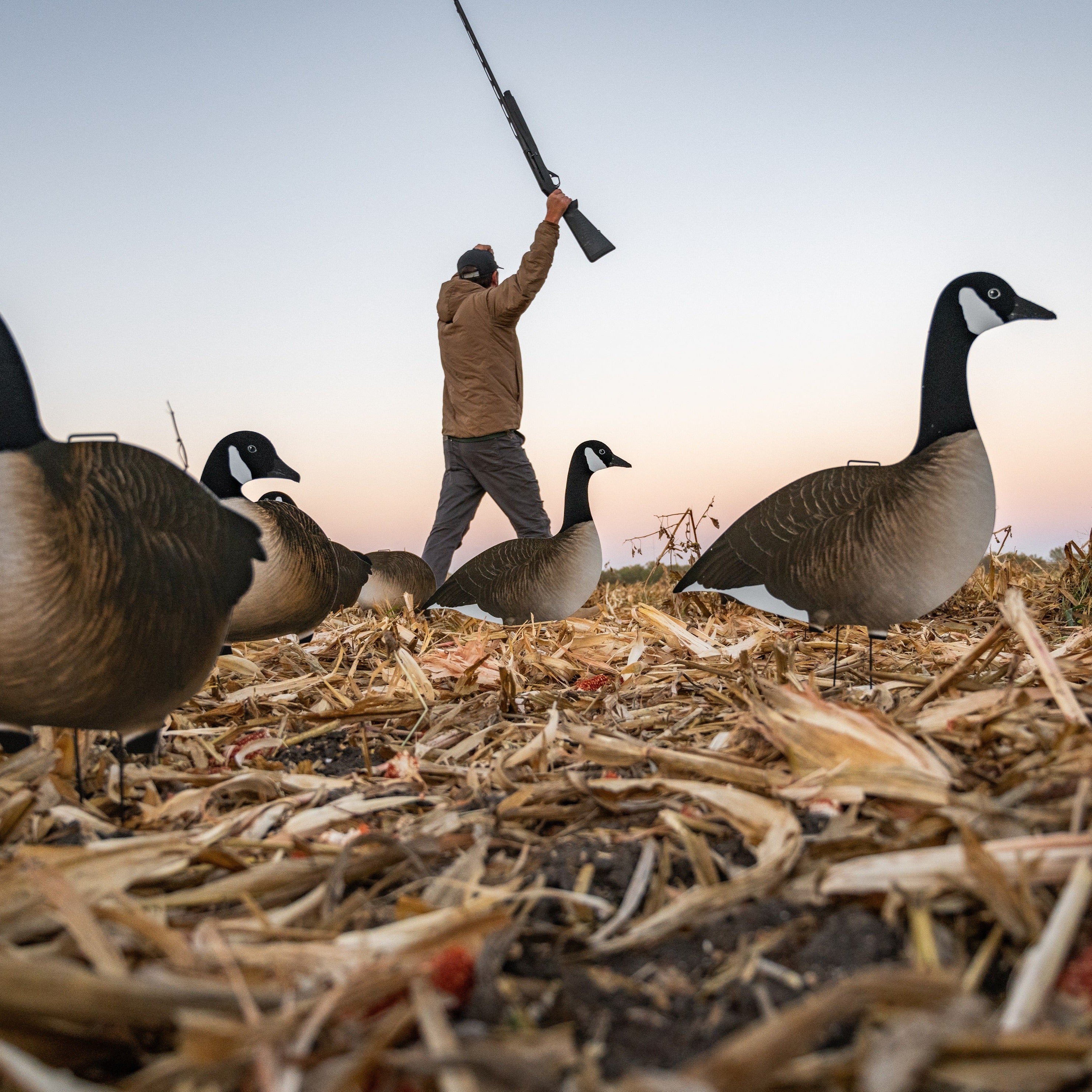 Alternate Fully Flocked Canada Goose Silhouettes silhouettes