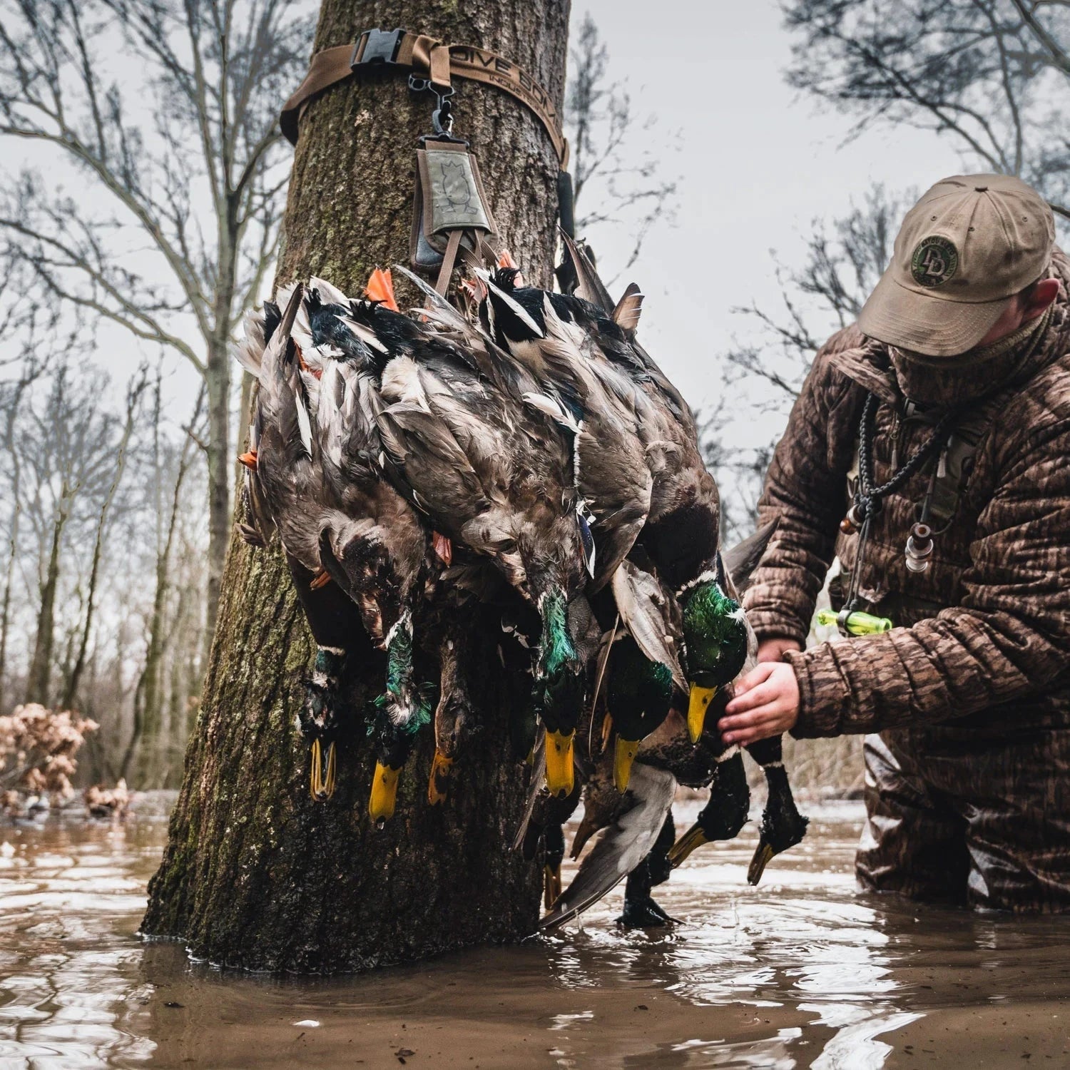 Duck Hunting Tree Strap Tech