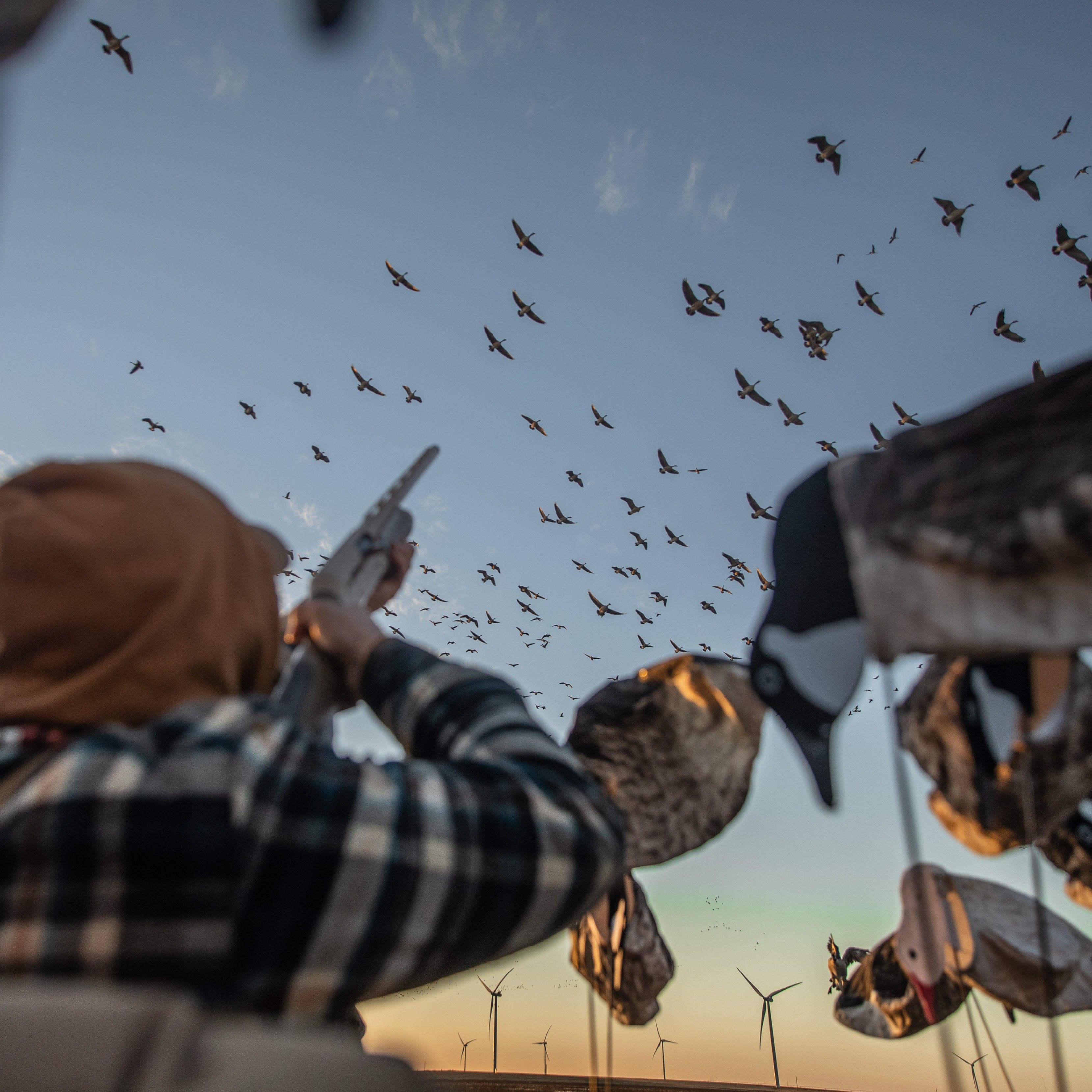 Tall Canada Goose Socks socks