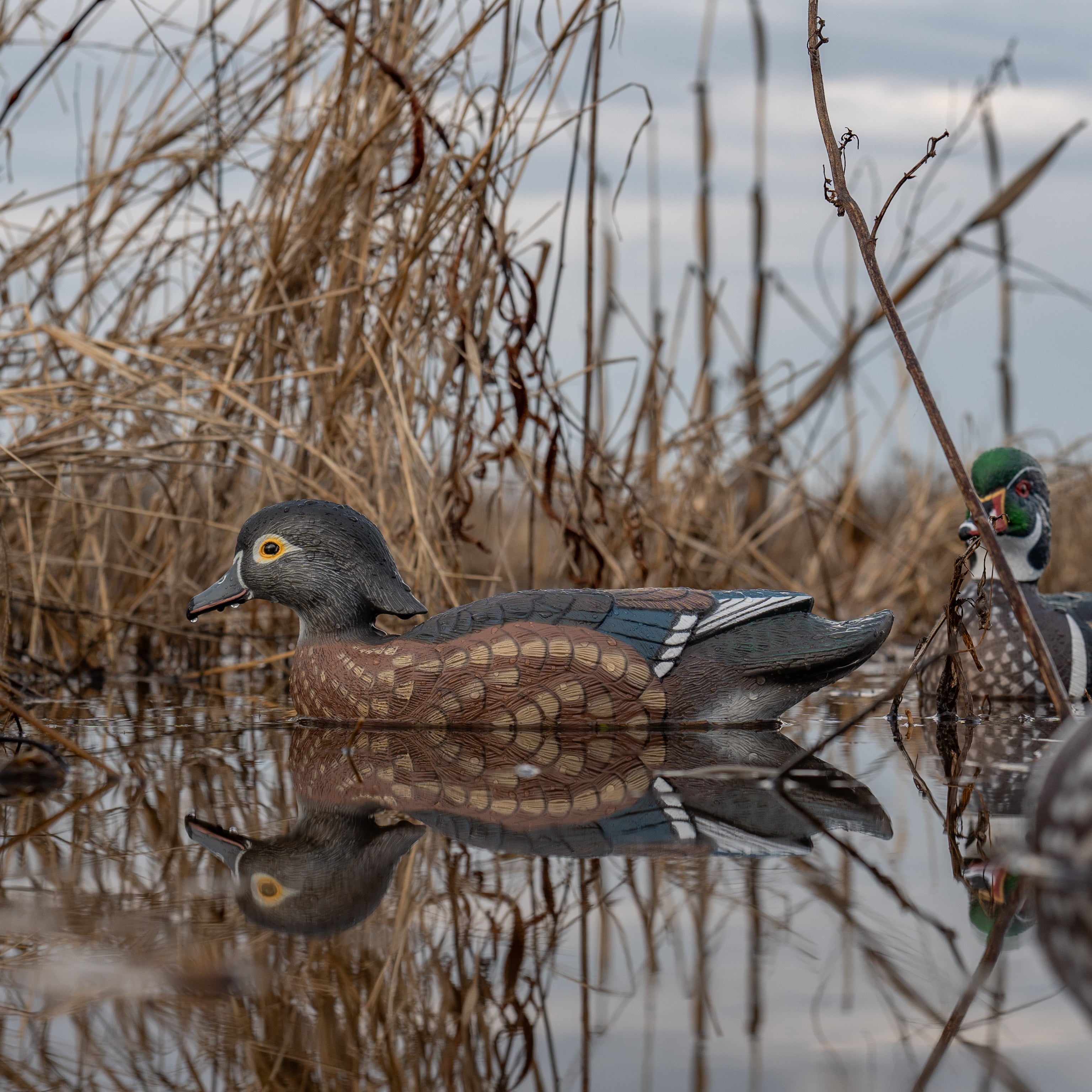 Wood Duck Floaters Floaters