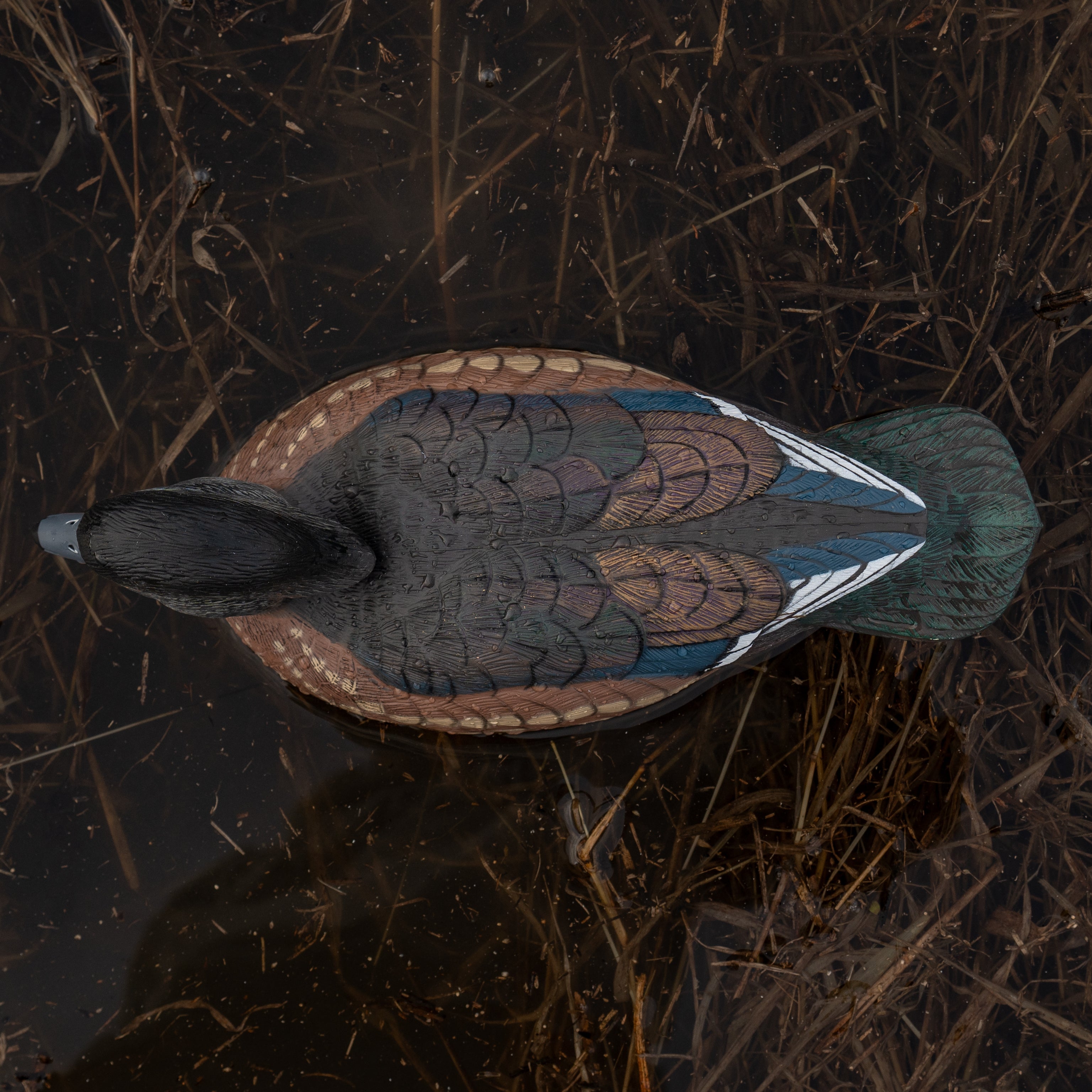 Wood Duck Floaters Floaters