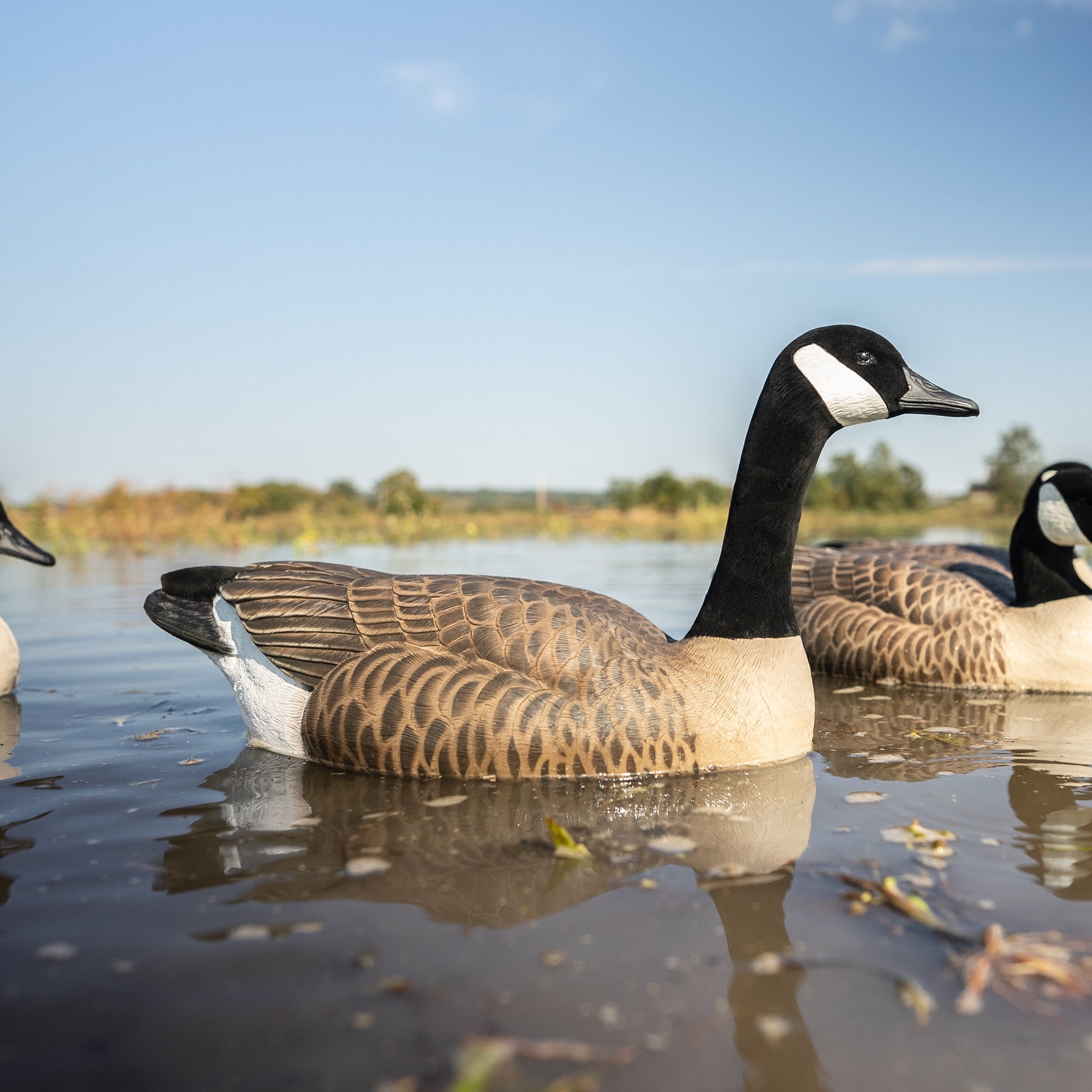 Canada Goose Floaters Floaters
