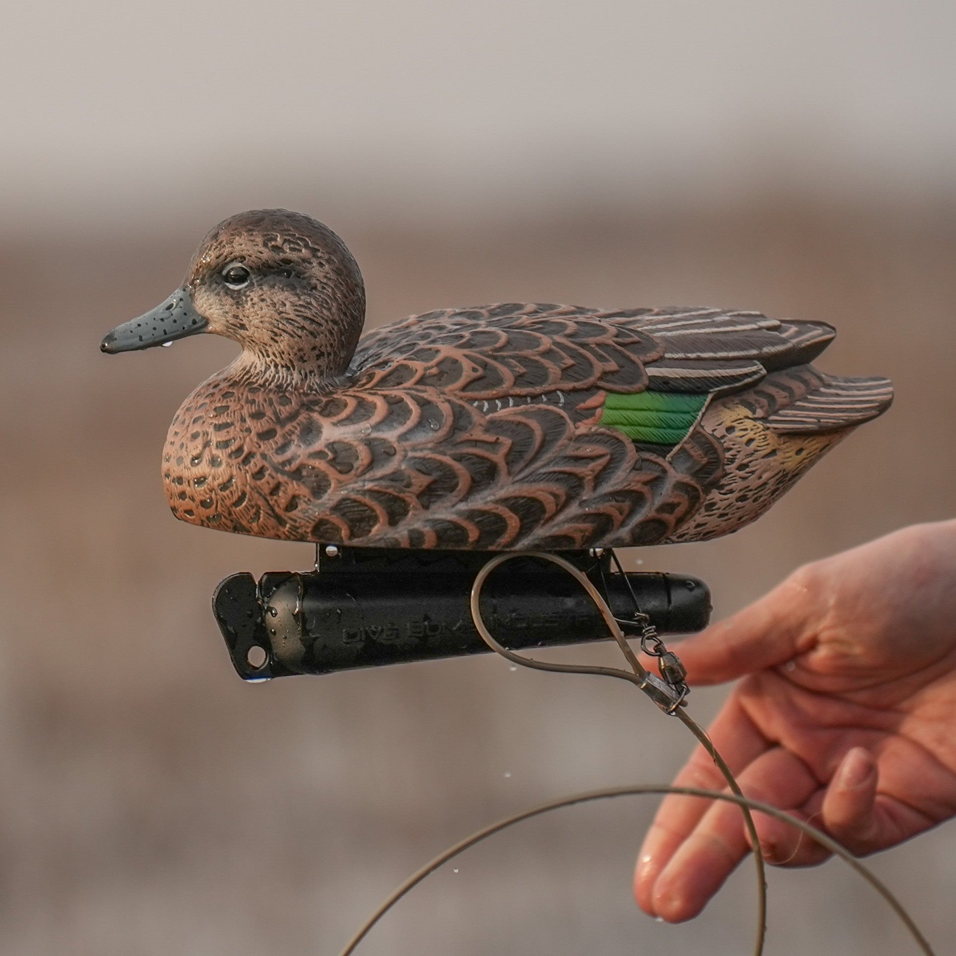 Green-winged Teal Floaters Floaters