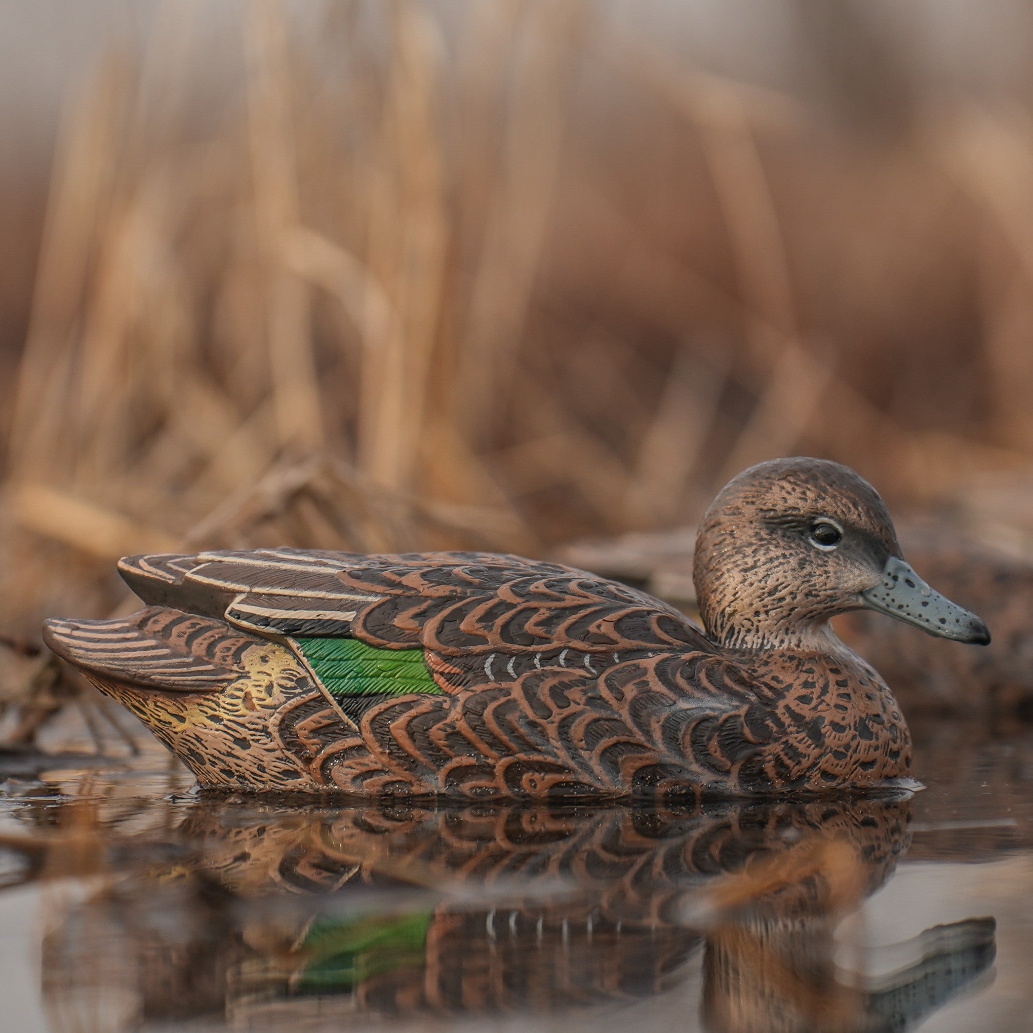 Green-winged Teal Floaters Floaters