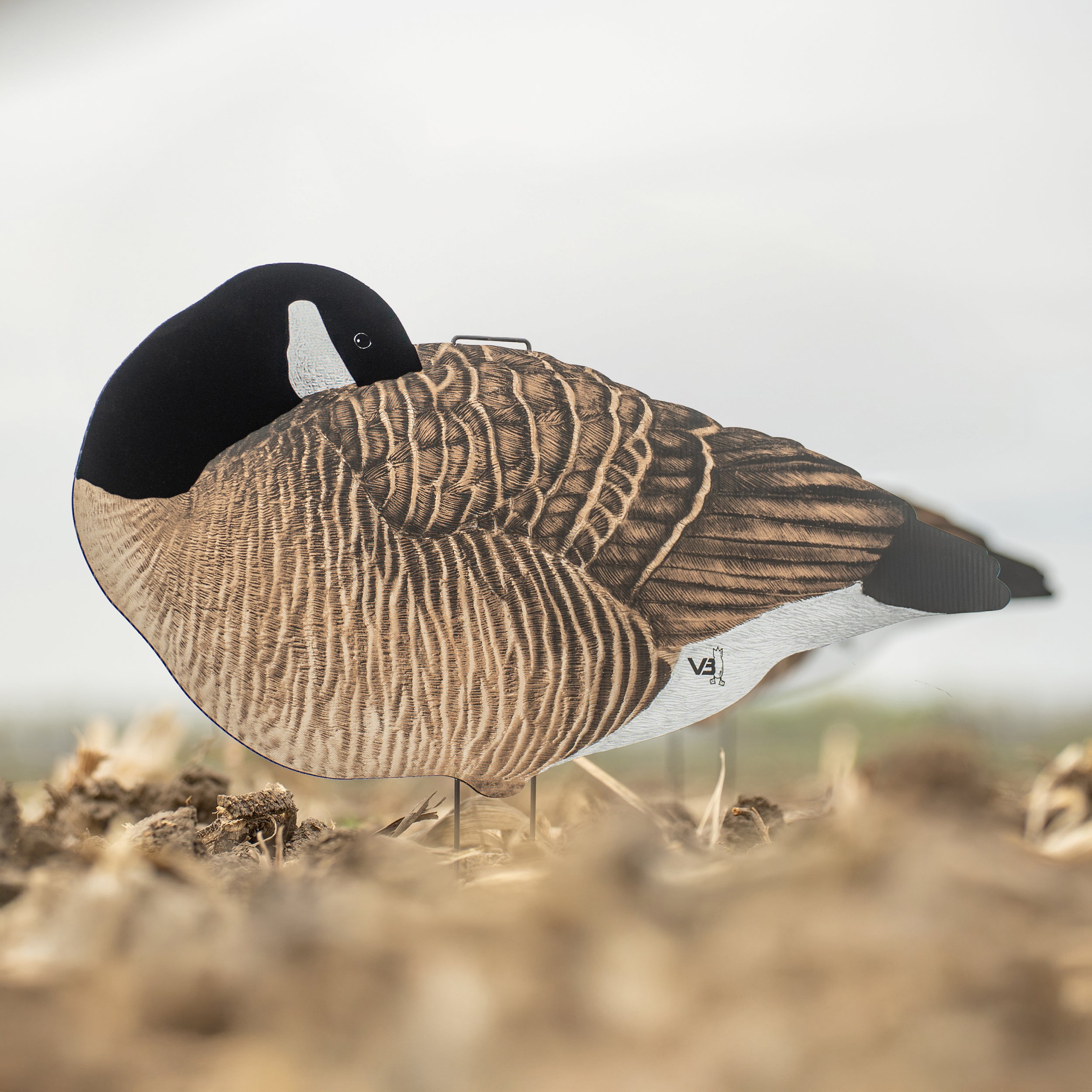 V3F Flocked Sleeper Canada Silhouettes silhouettes