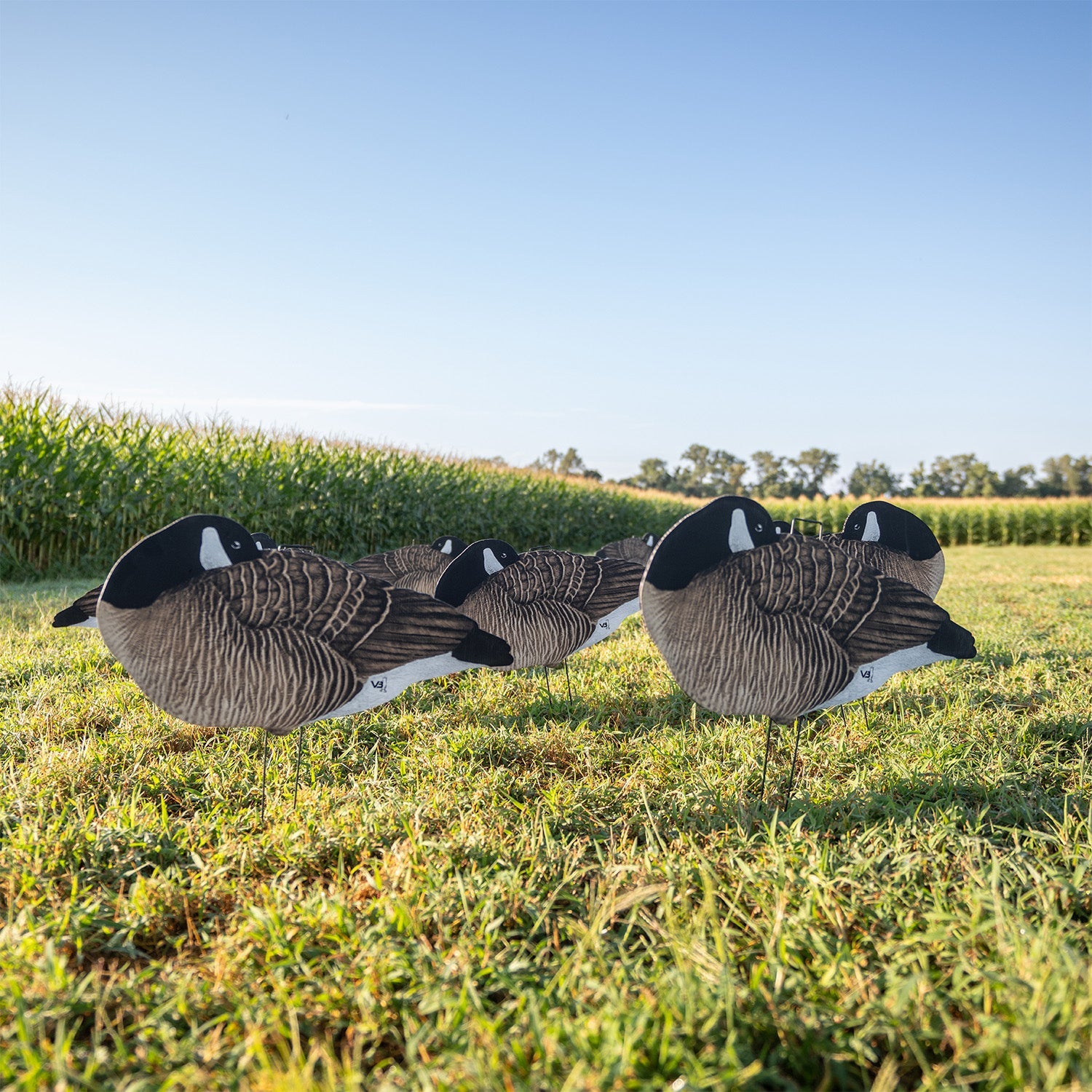 V3 Sleeper Canada Silhouettes silhouettes