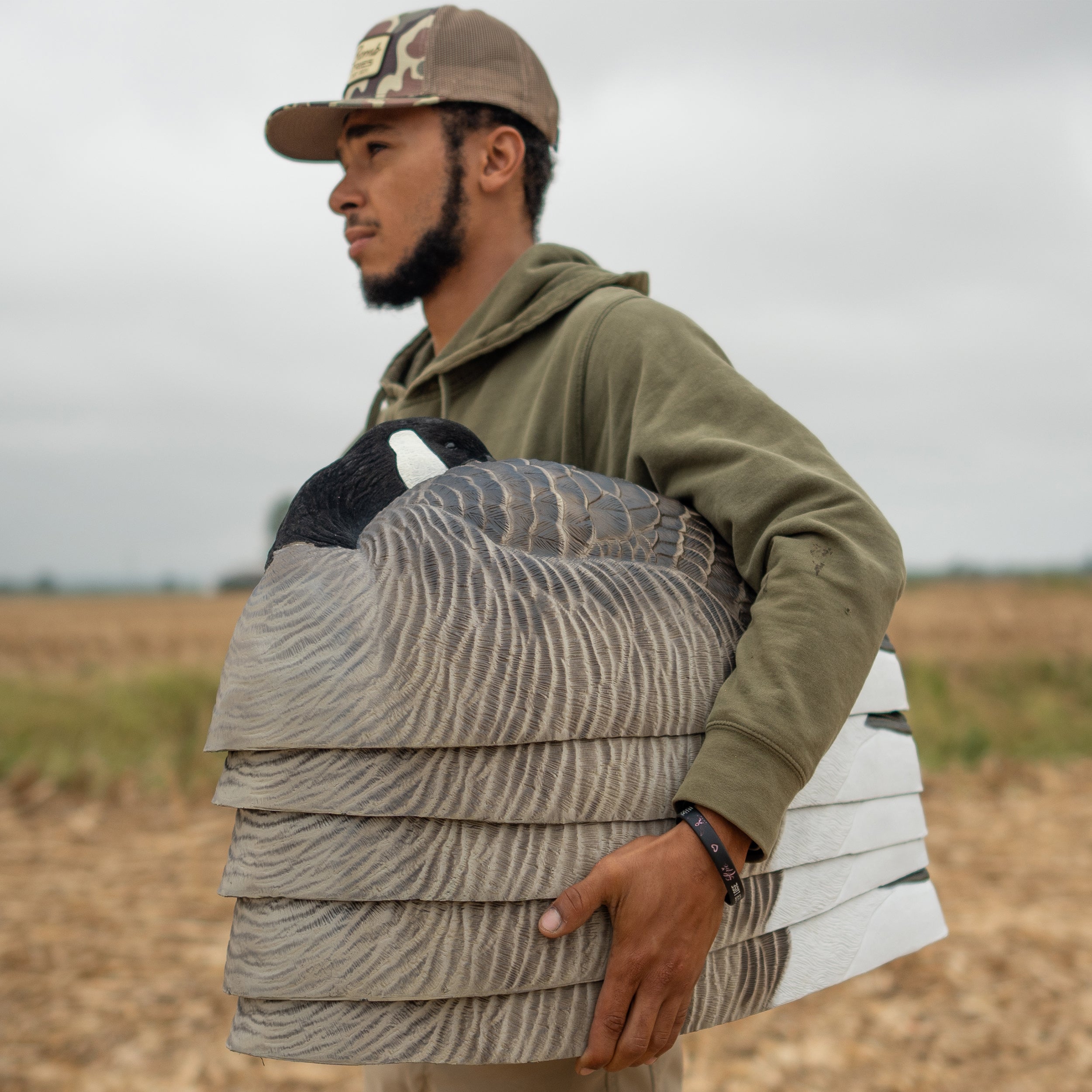 Sleeper Canada Shells Sleeper Shells