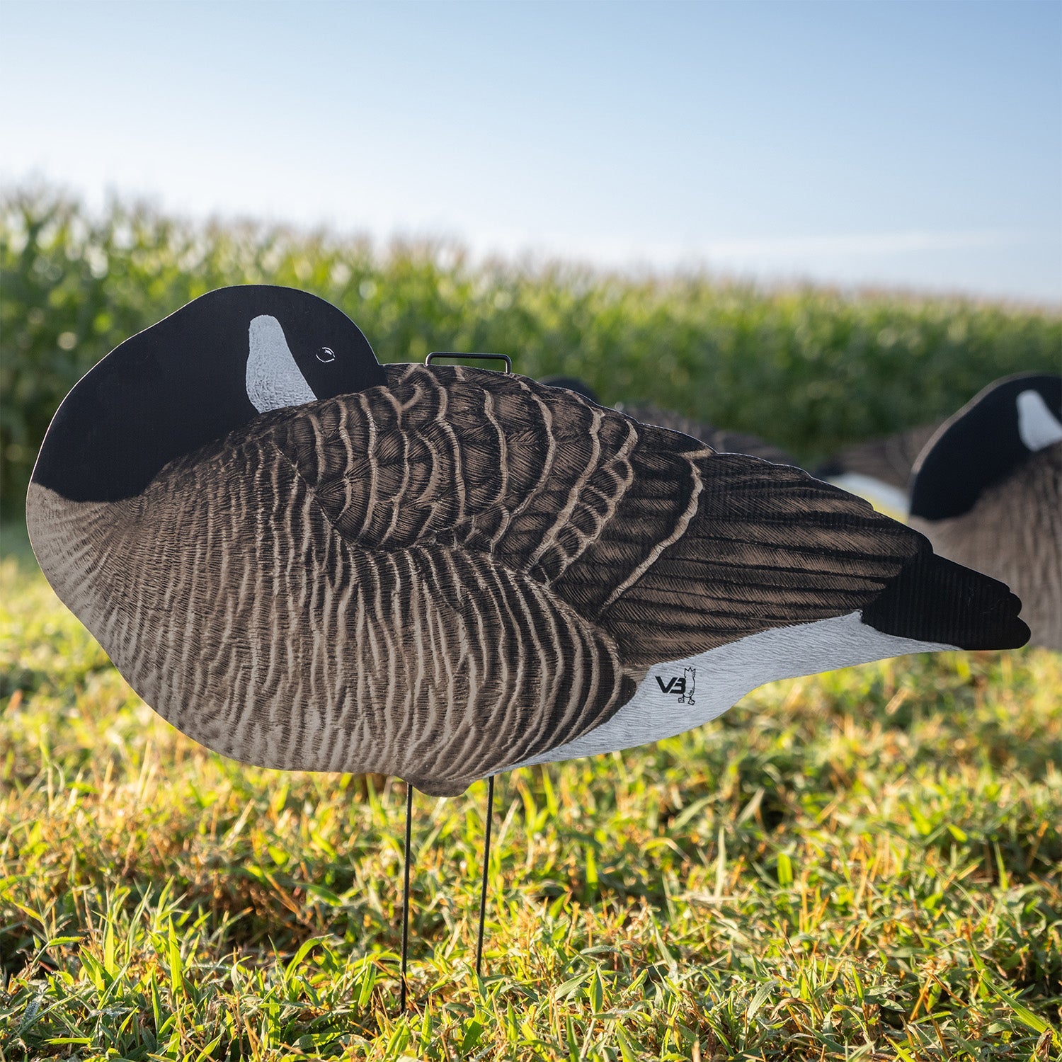 V3 Sleeper Canada Silhouettes silhouettes