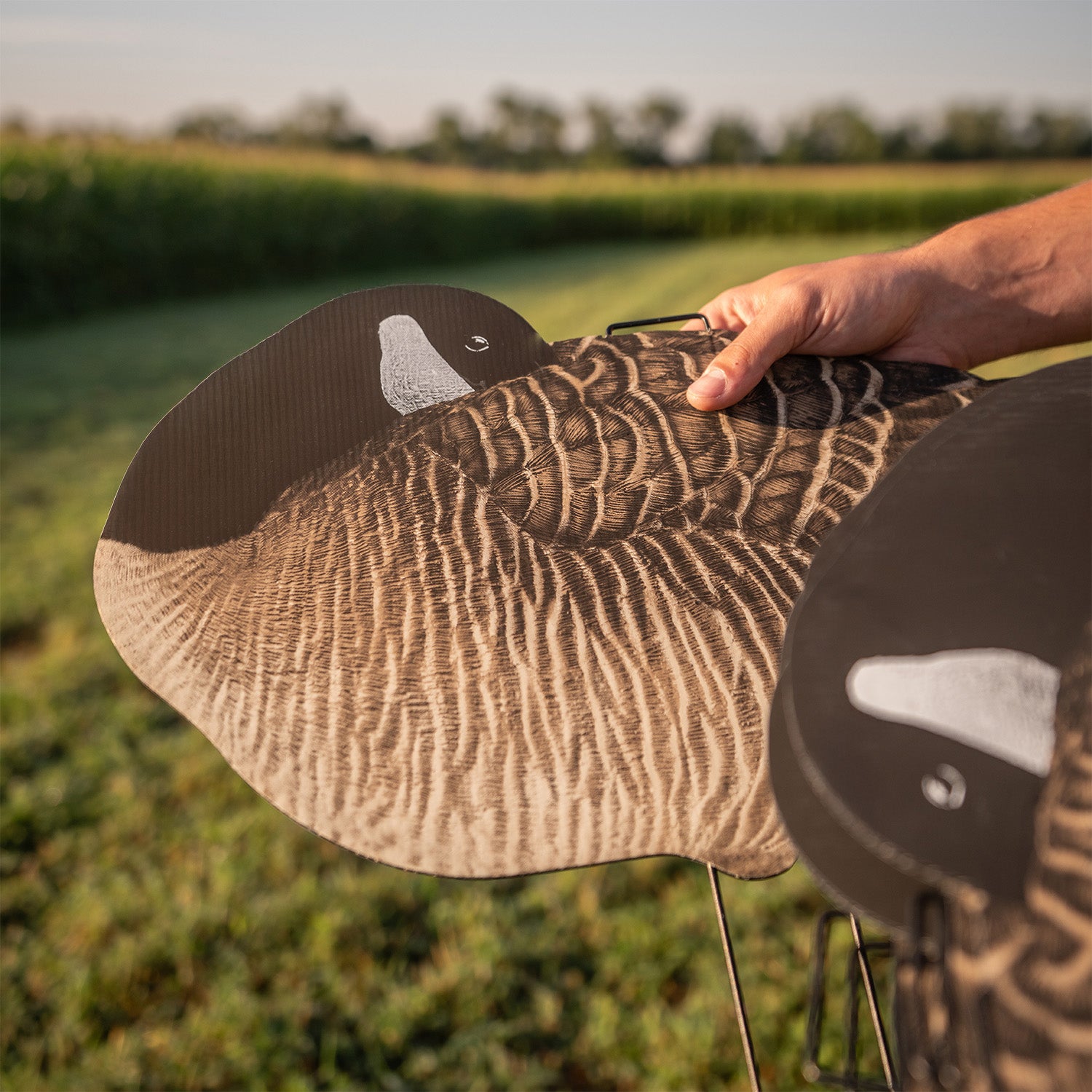 V3 Sleeper Canada Silhouettes silhouettes