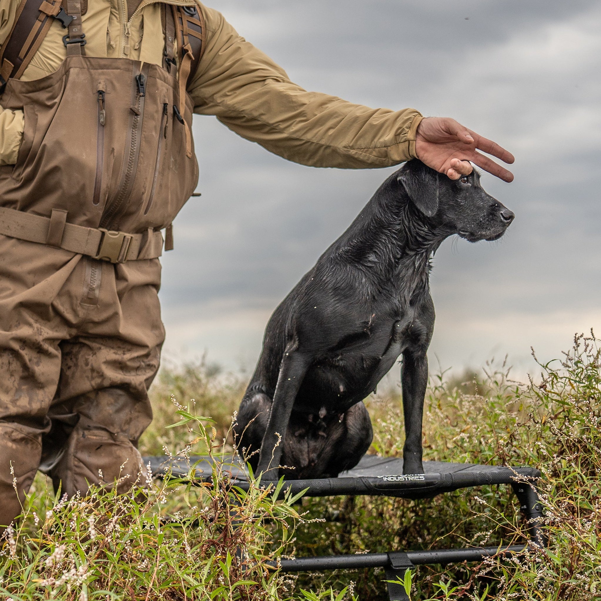 Hunting Dog Stand Tech