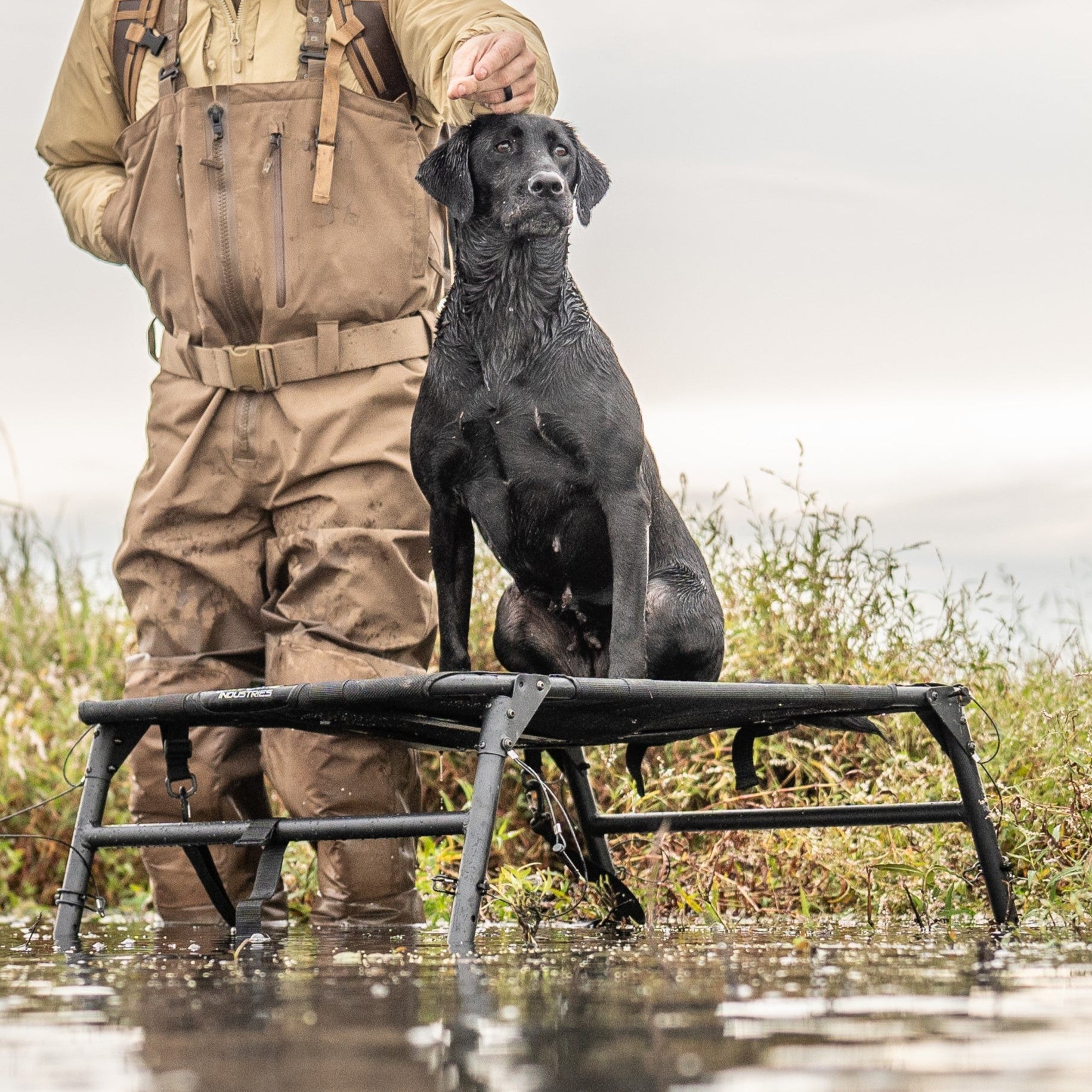 Hunting Dog Stand Tech