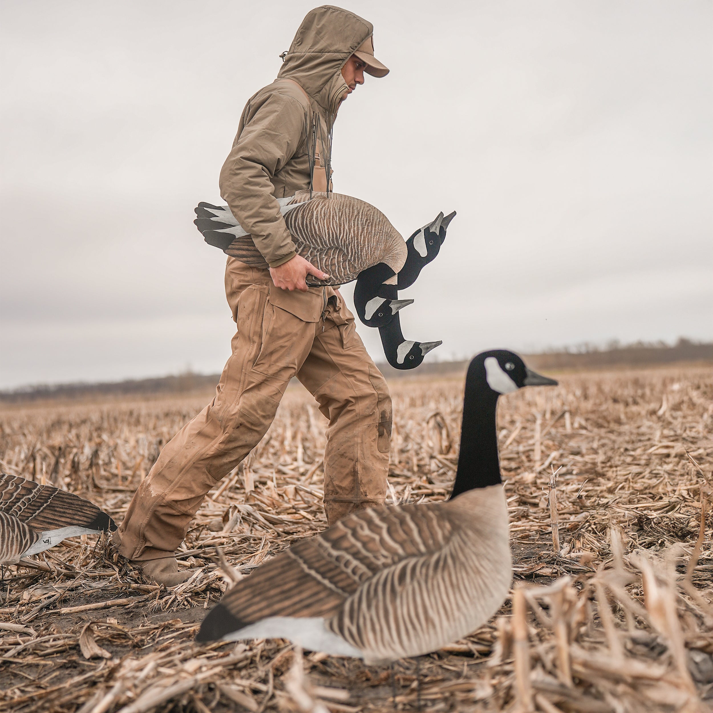 V3FF Fully Flocked Canada Silhouettes silhouettes
