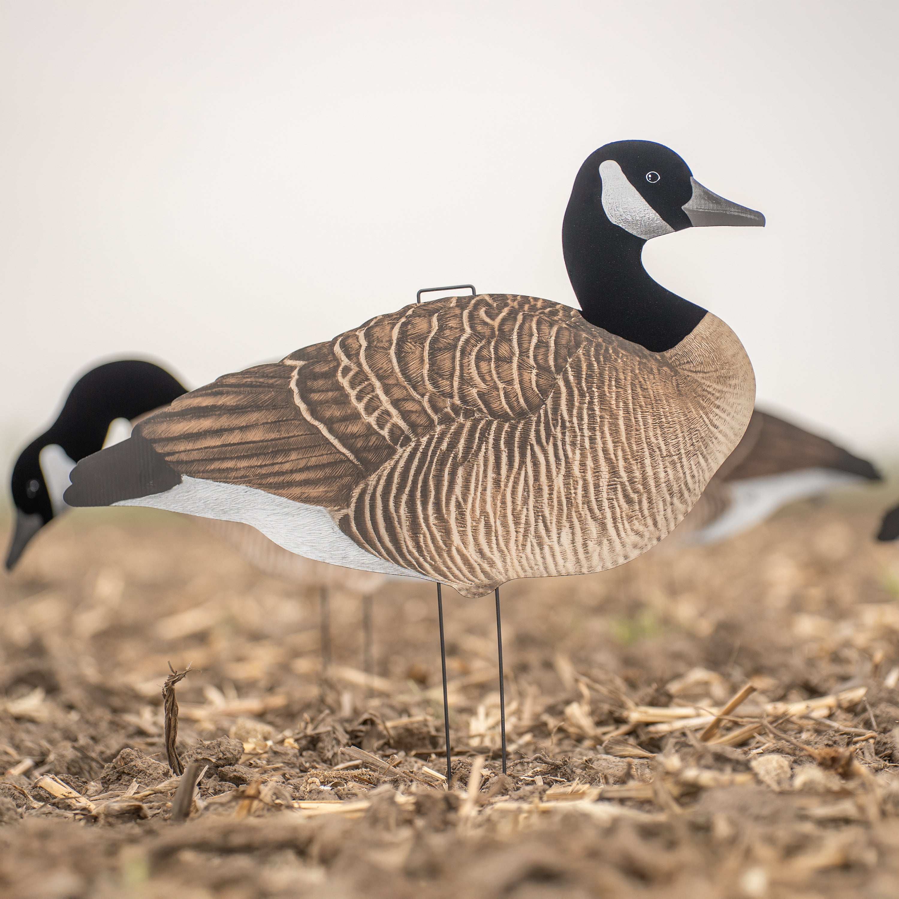V3F Flocked Canada Silhouettes silhouettes