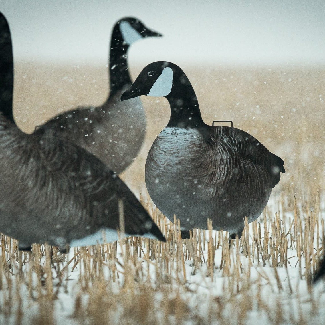 Alternate Canada Goose Silhouettes silhouettes