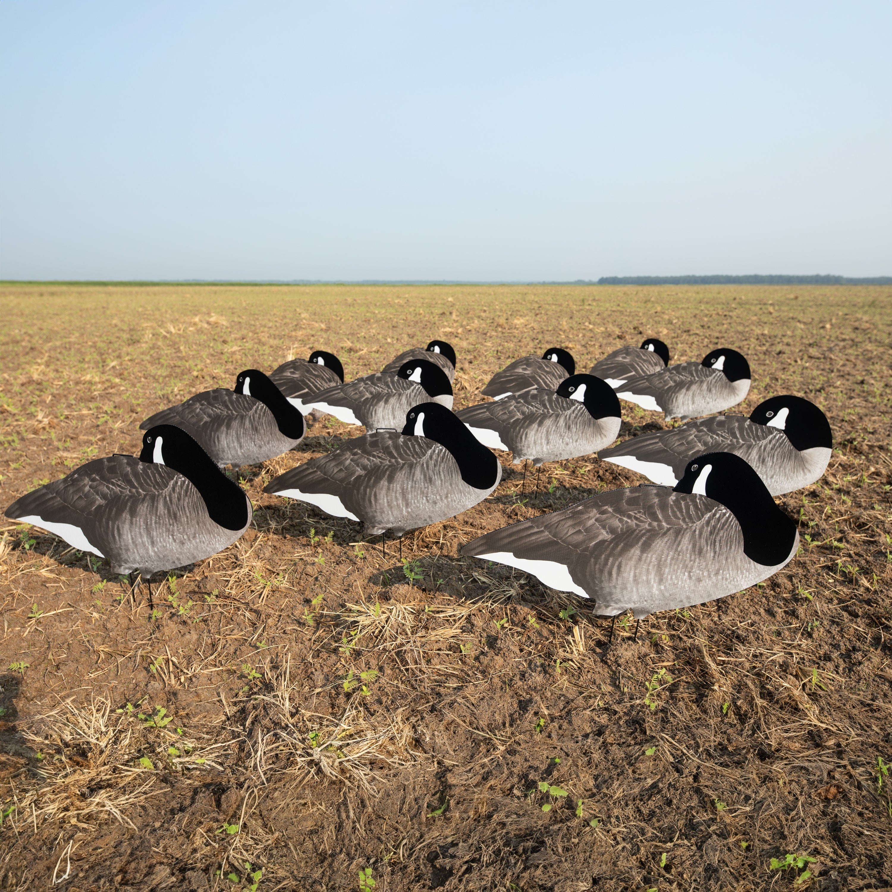 Flocked Sleeper Canada Goose Silhouettes silhouettes 1 dz