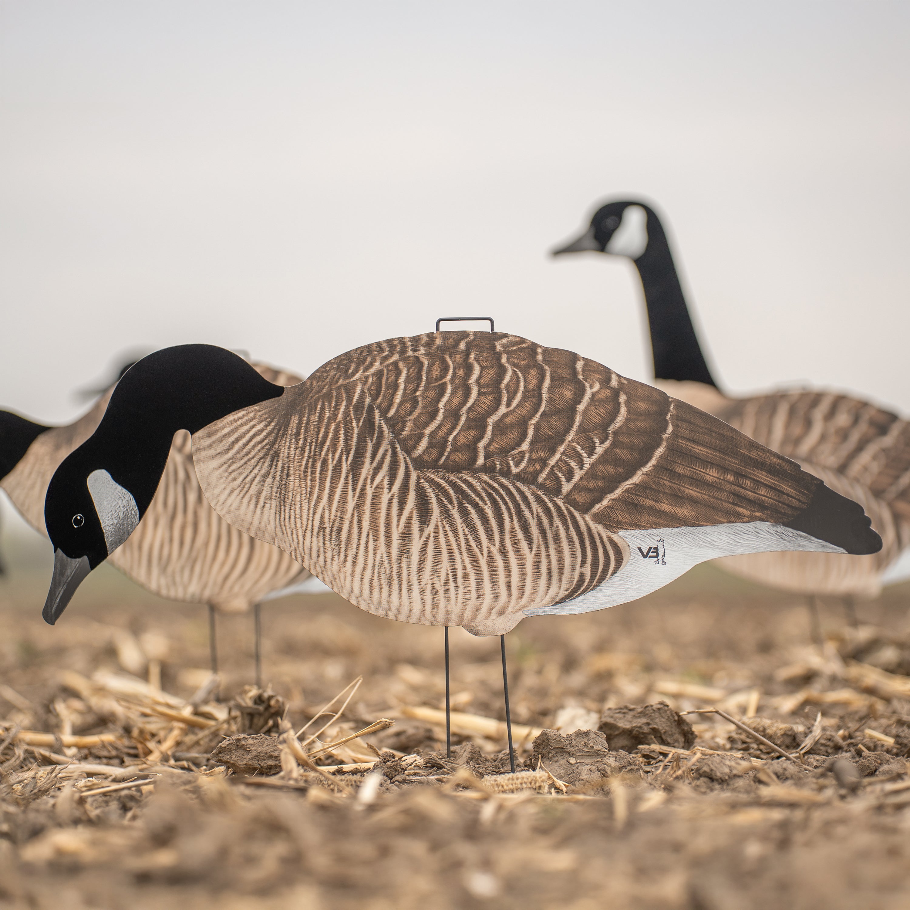 V3F Flocked Canada Silhouettes silhouettes