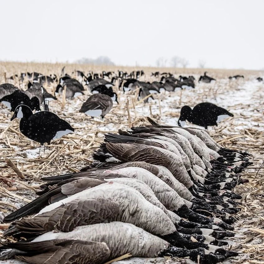 Black and White Silhouettes silhouettes