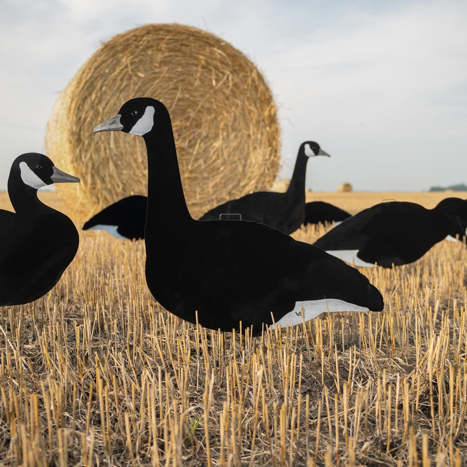 V3BW Flocked Black and White Silhouettes Decoys