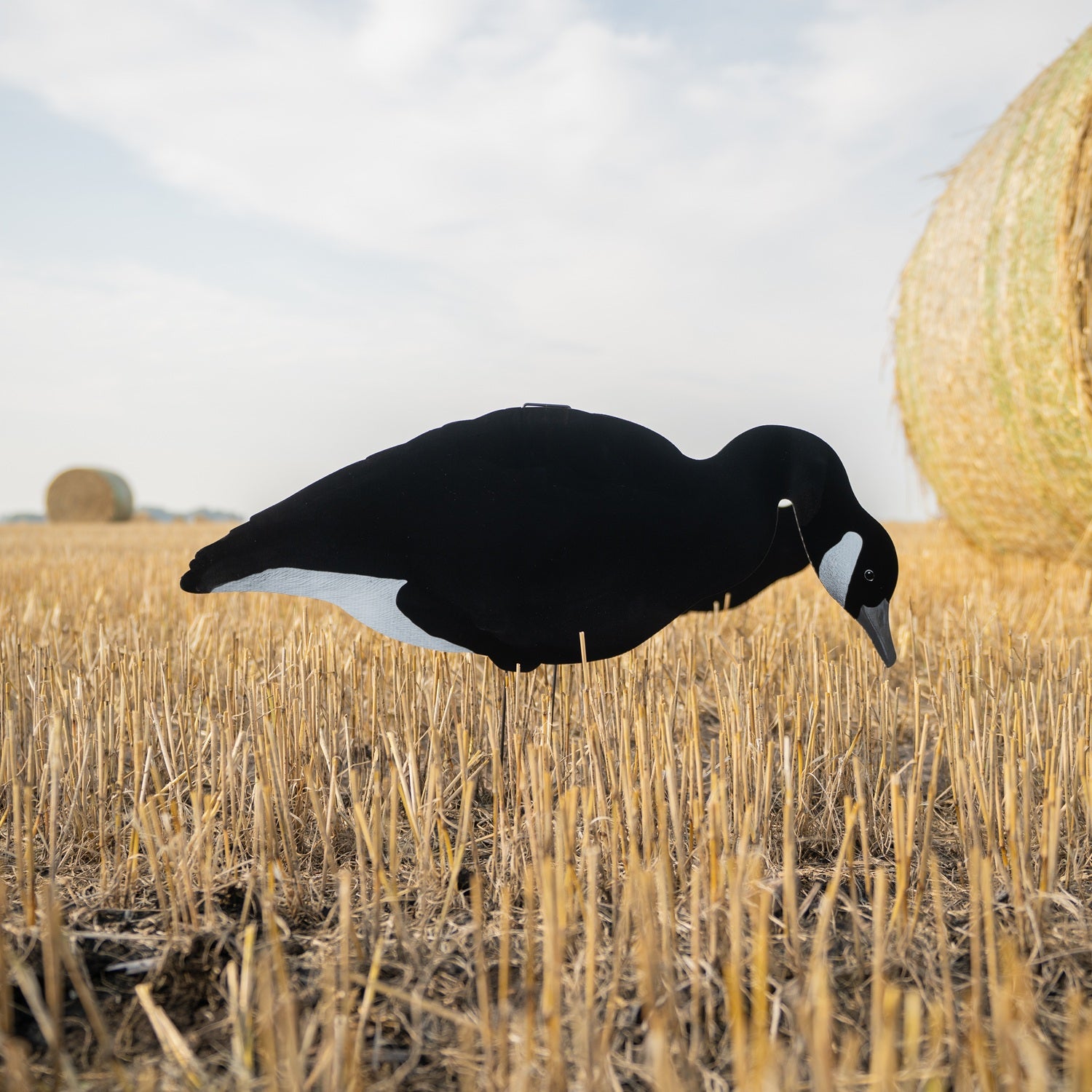 V3BW Flocked Black and White Silhouettes Decoys