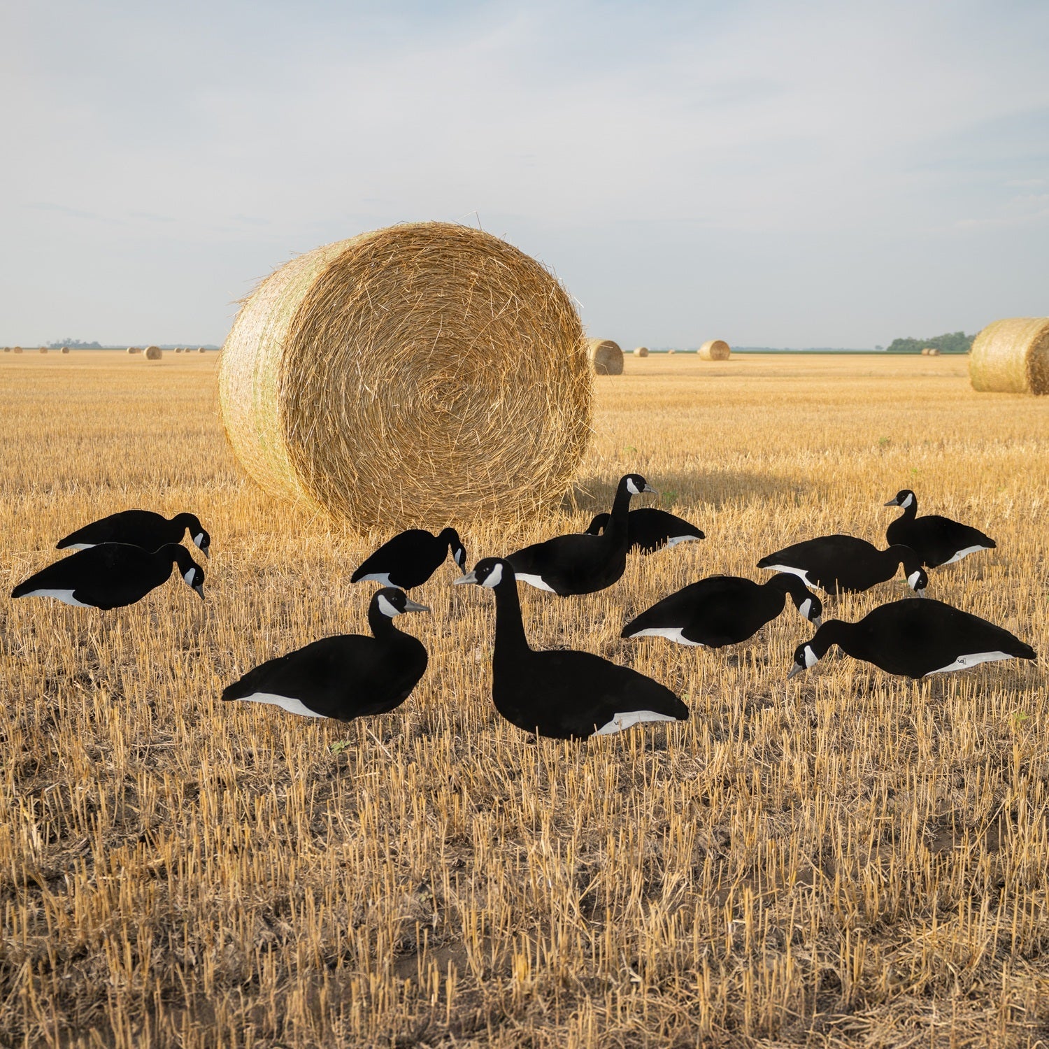 V3BW Flocked Black and White Silhouettes Decoys