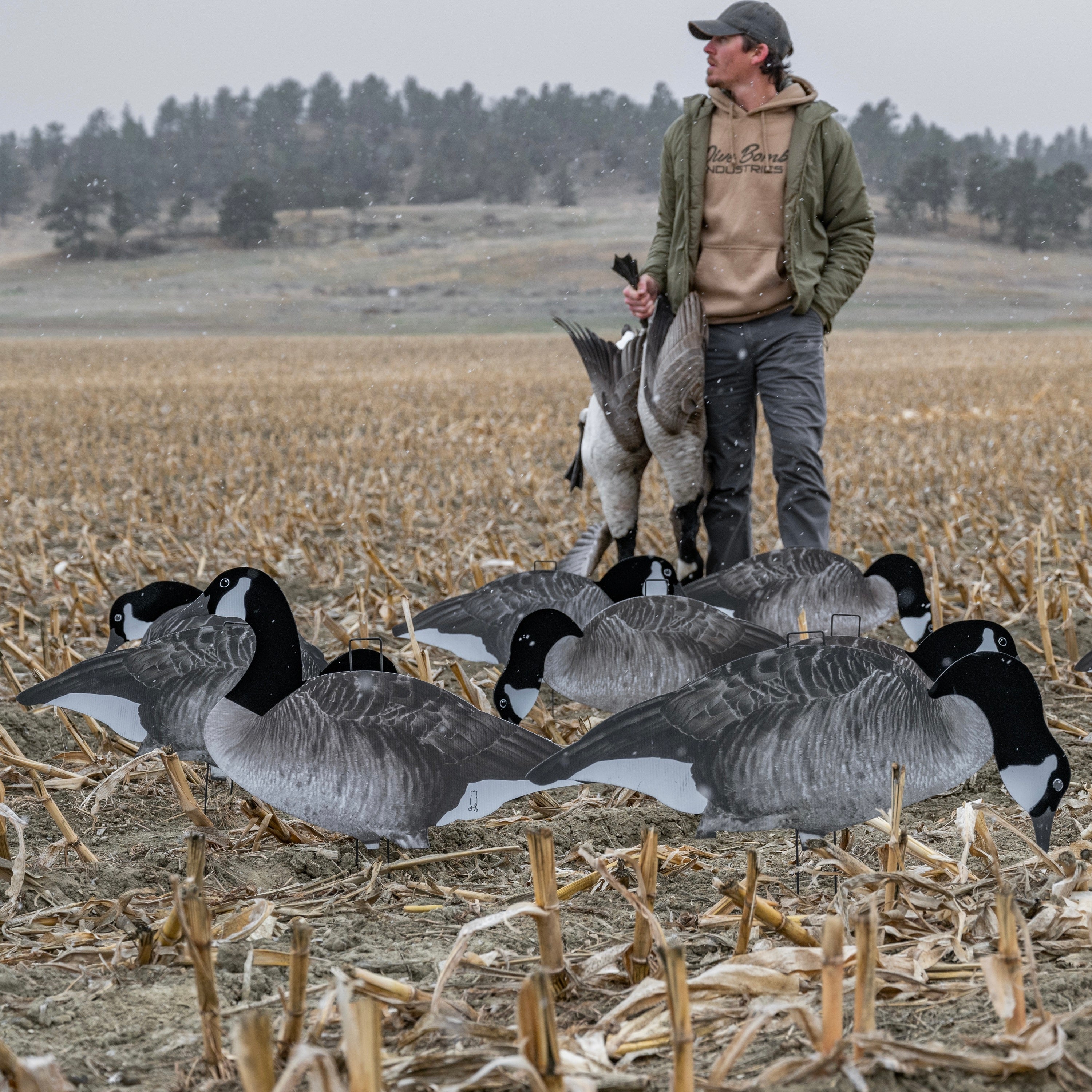 Flocked Canada Goose Silhouettes silhouettes
