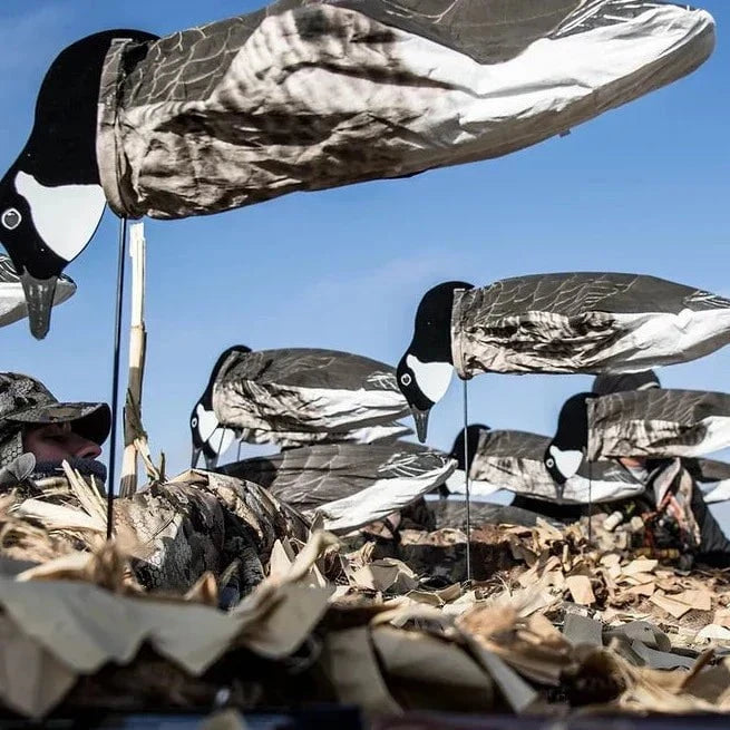 Tall Canada Goose Socks socks 1 dz